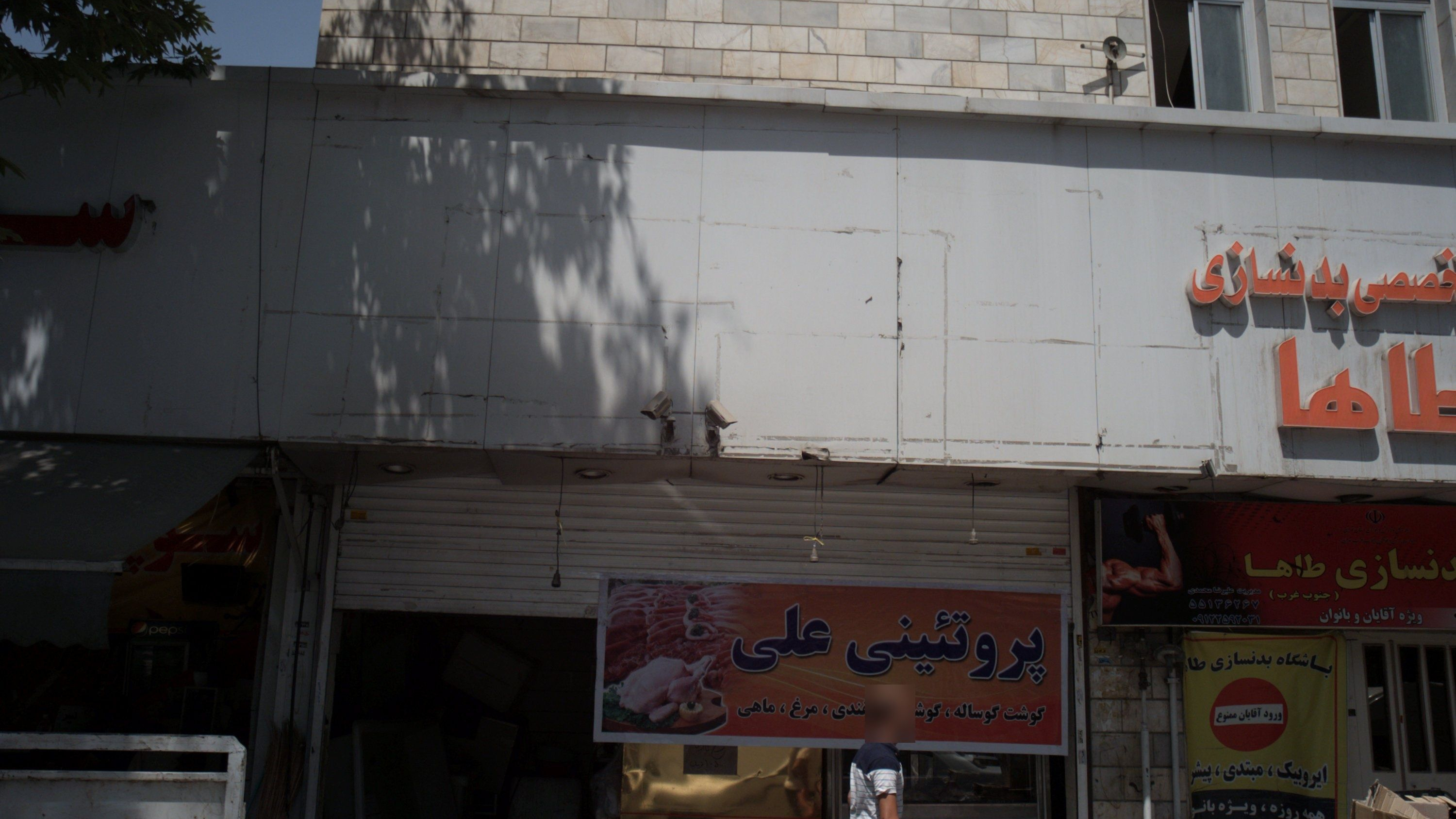 پروتئینی علی
