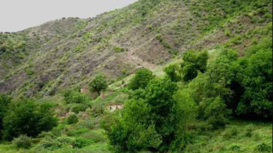 تپه سراب گرگین