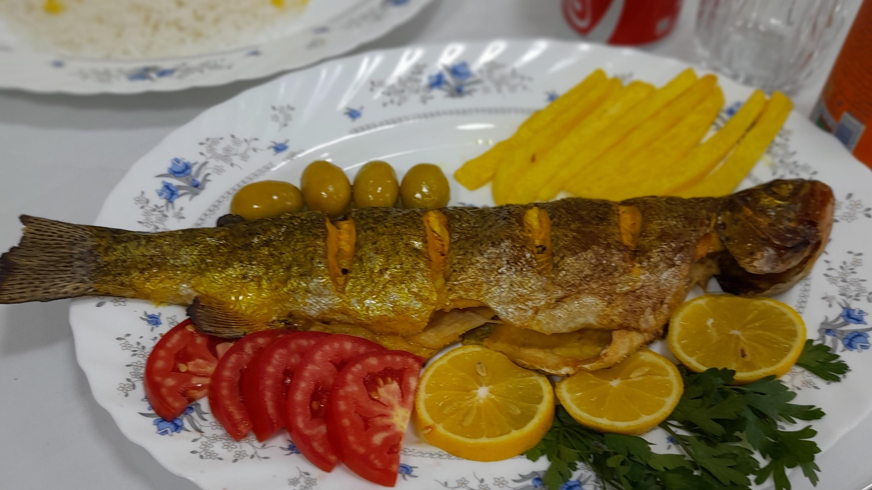 غذاخوری زیتون