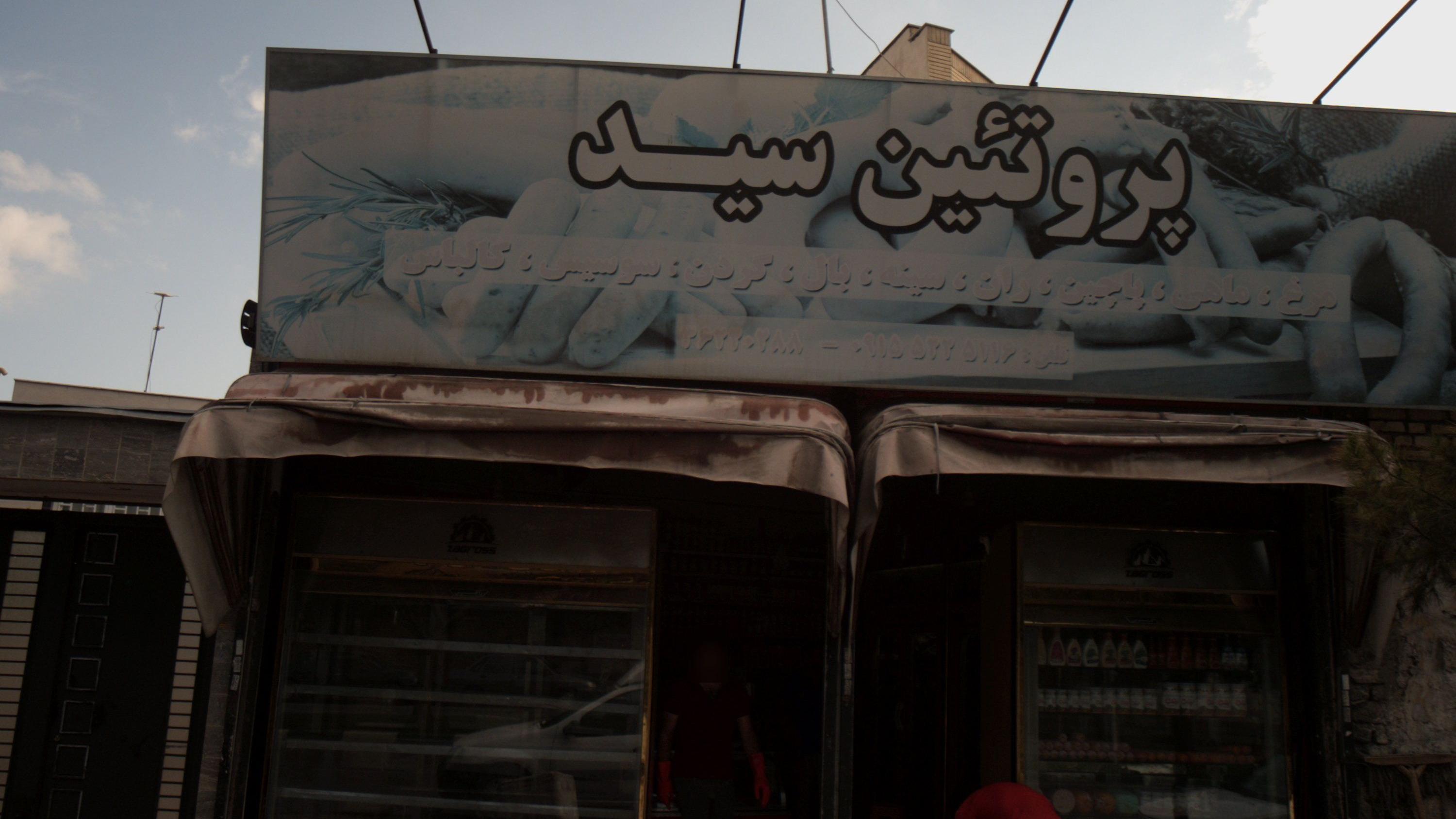پروتئین سید