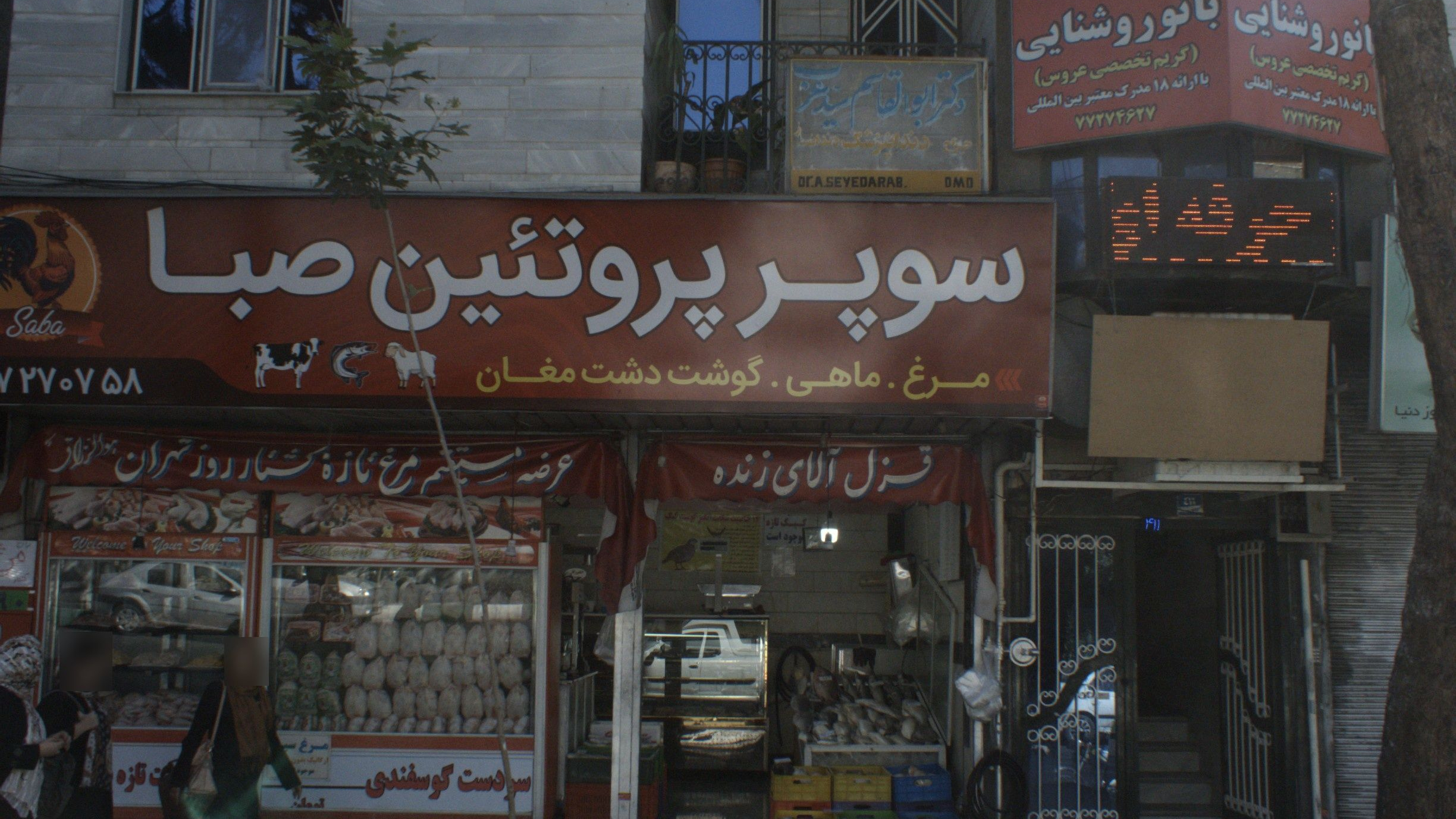 دکتر ابوالقاسم سید عرب