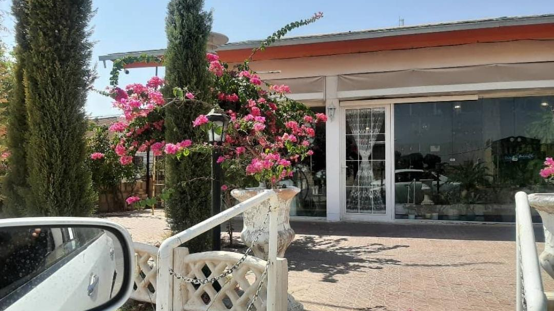 گل فروشی اشکان