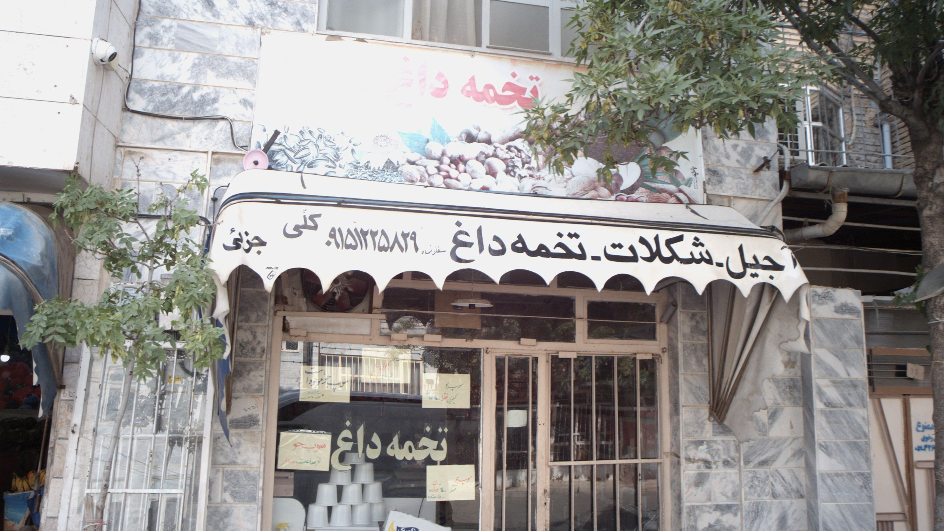 تخمه داغ ولایت