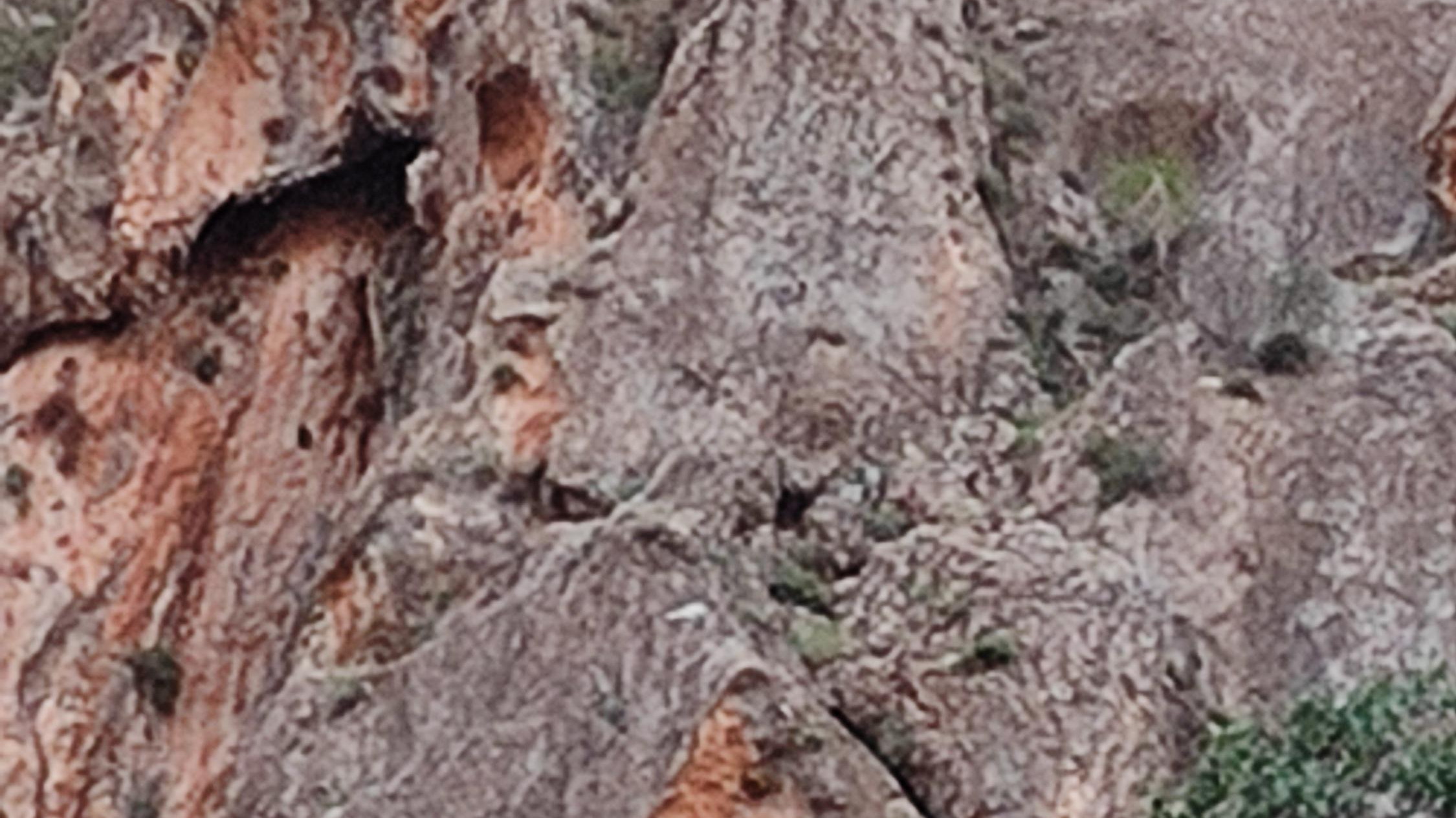 پارک ملی بمو (چشمه دره باغ)