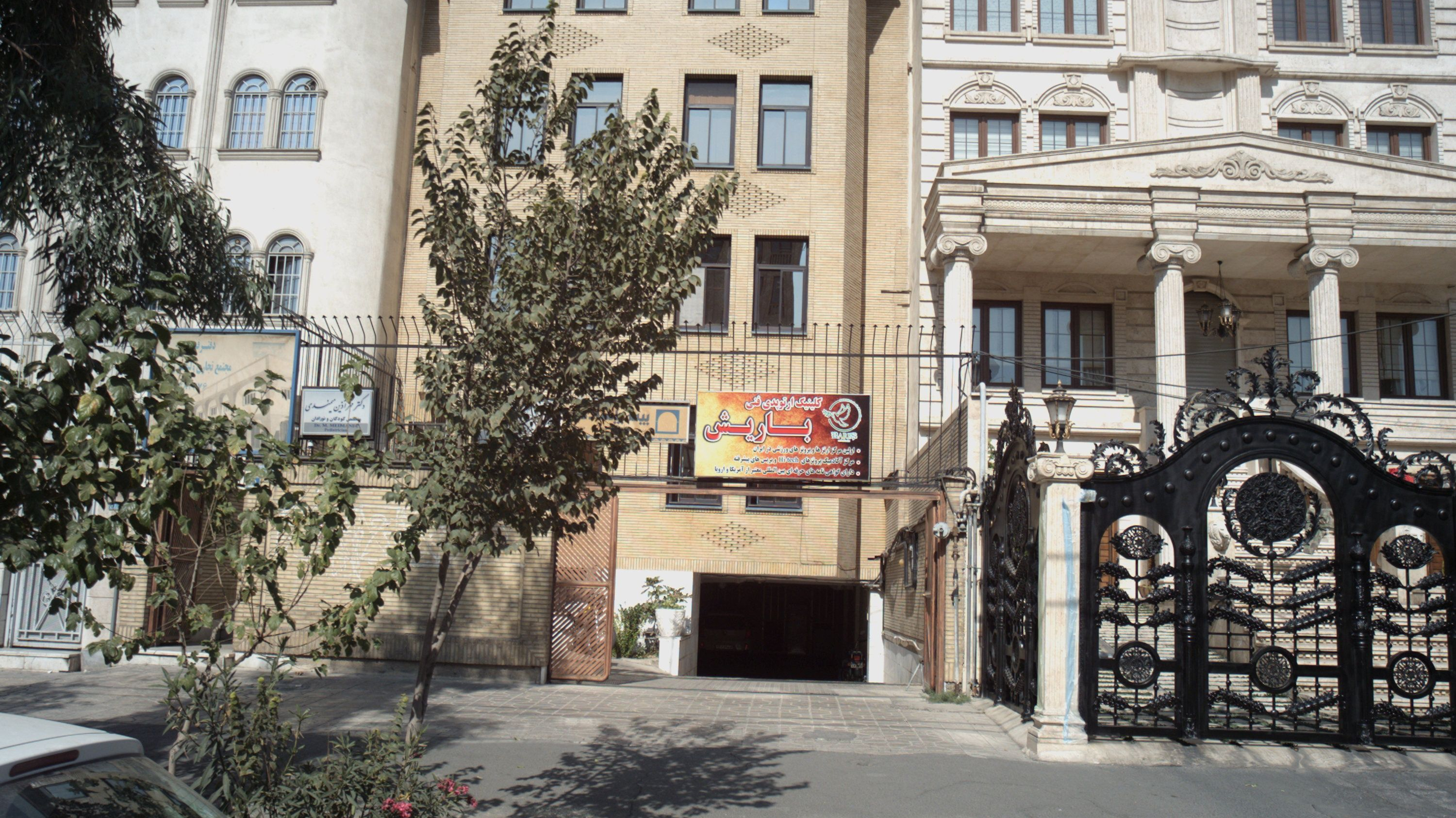دکتر مهر آذین میمندی