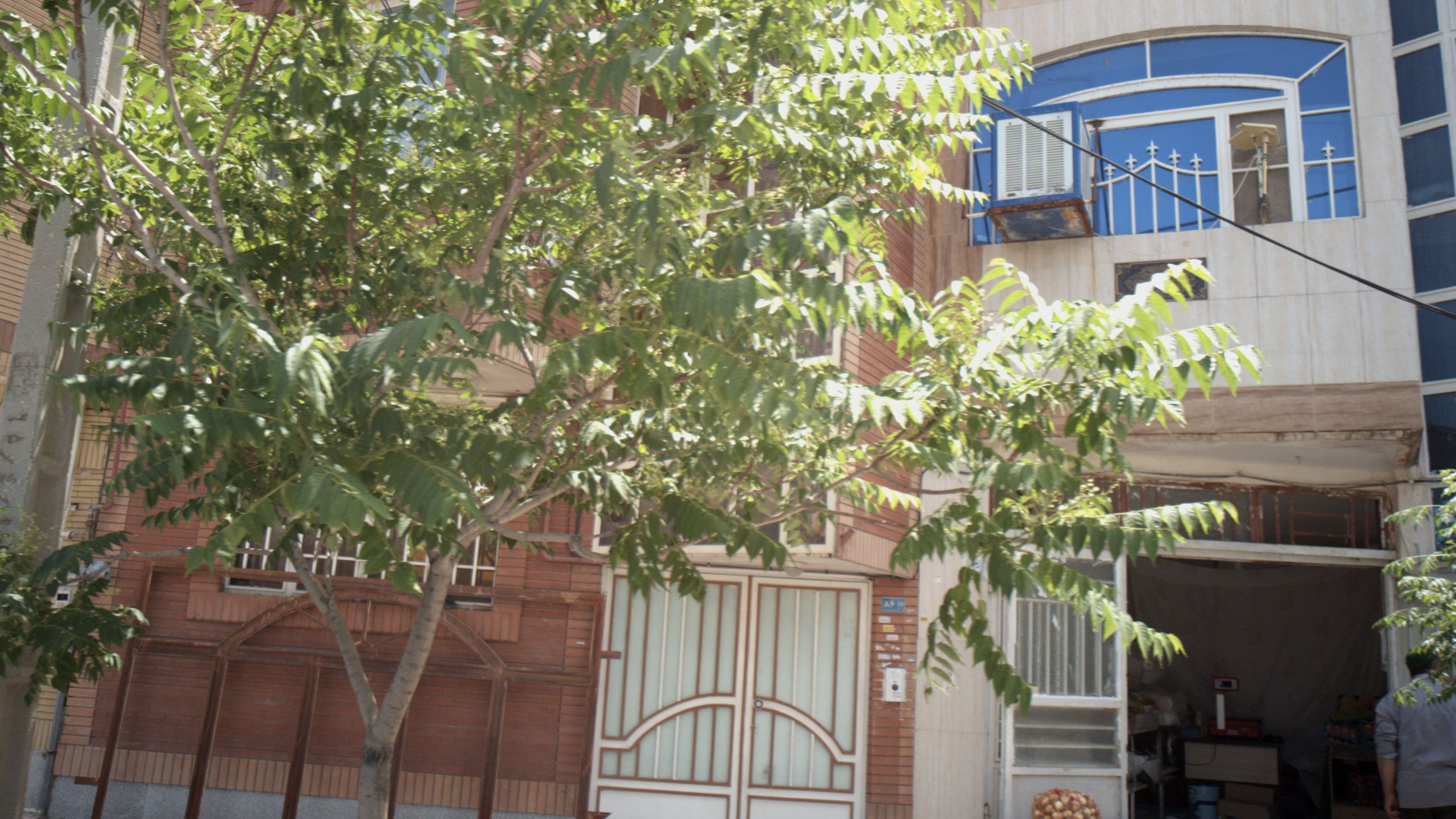 میوه فروشی