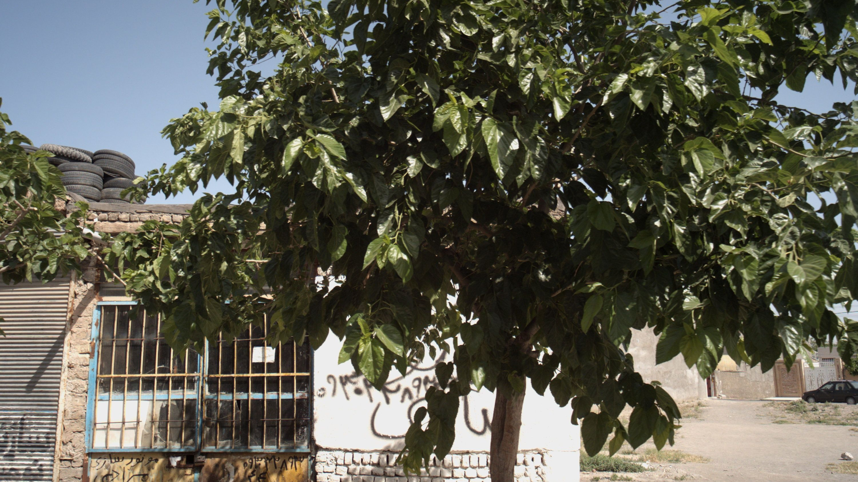موتور سازی مرادی
