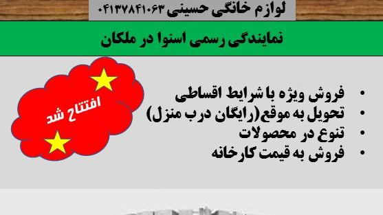 نمایندگی اسنوا حسینی