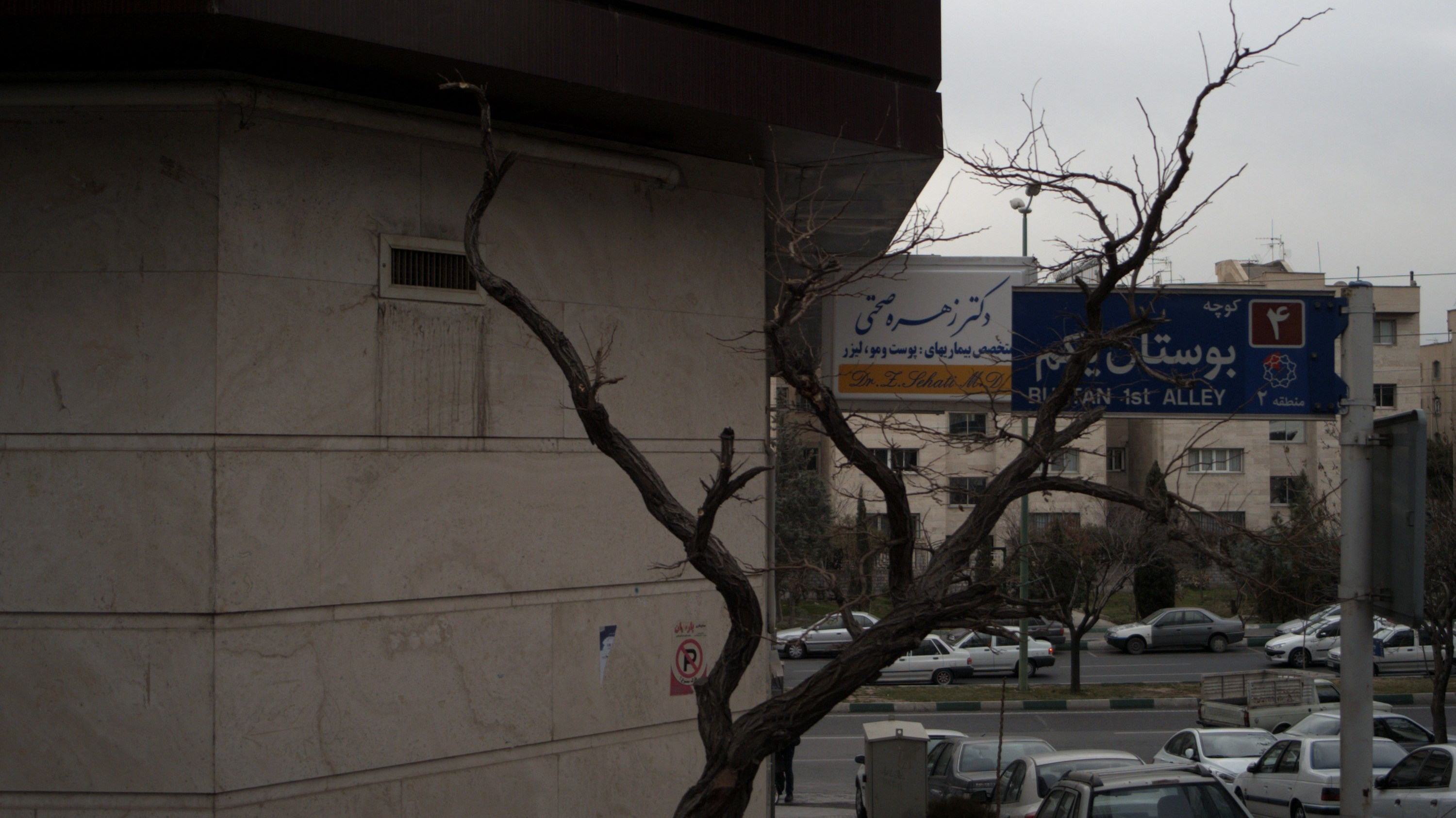 دکتر زهره صحتی