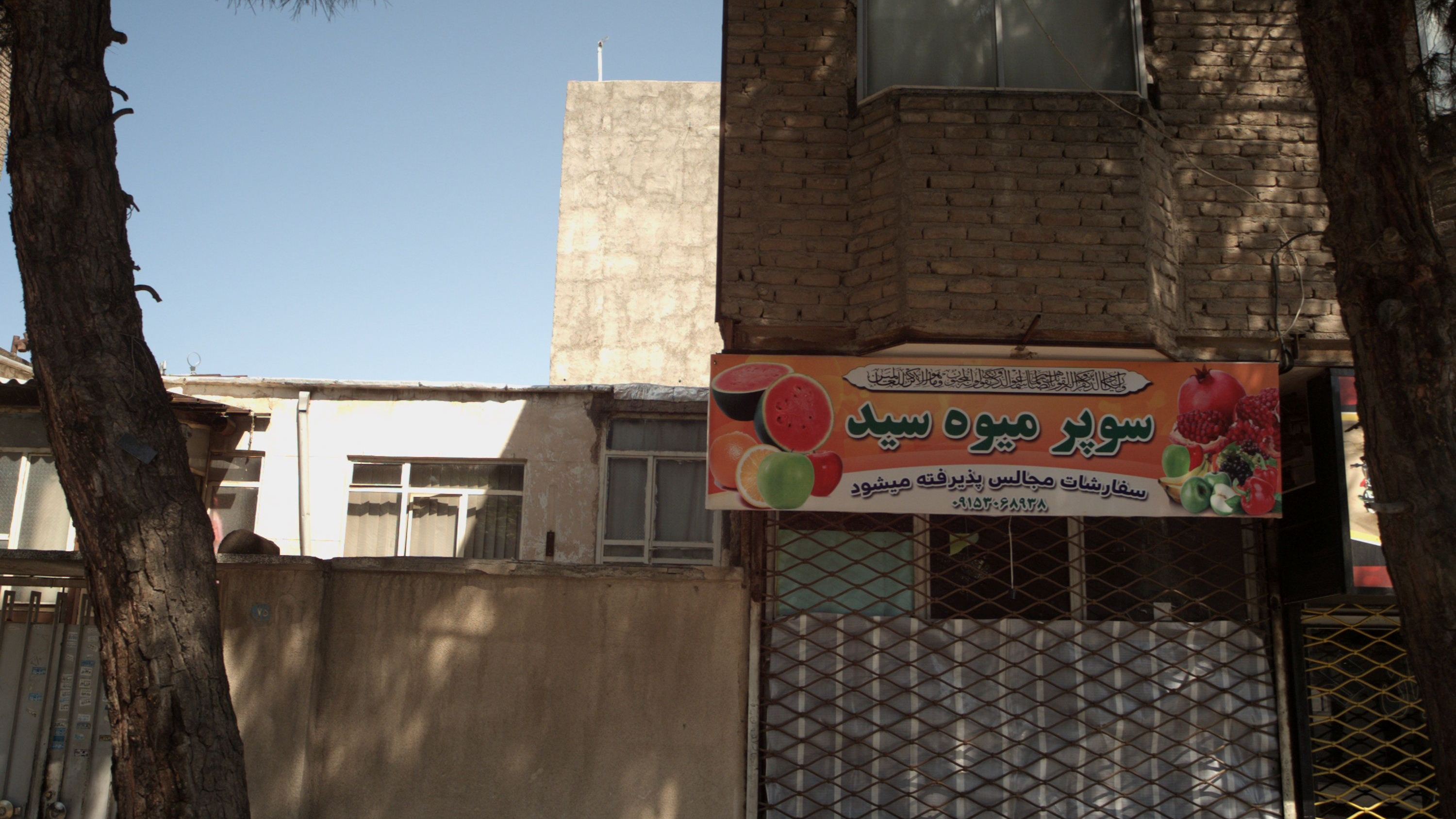 سوپر میوه سید