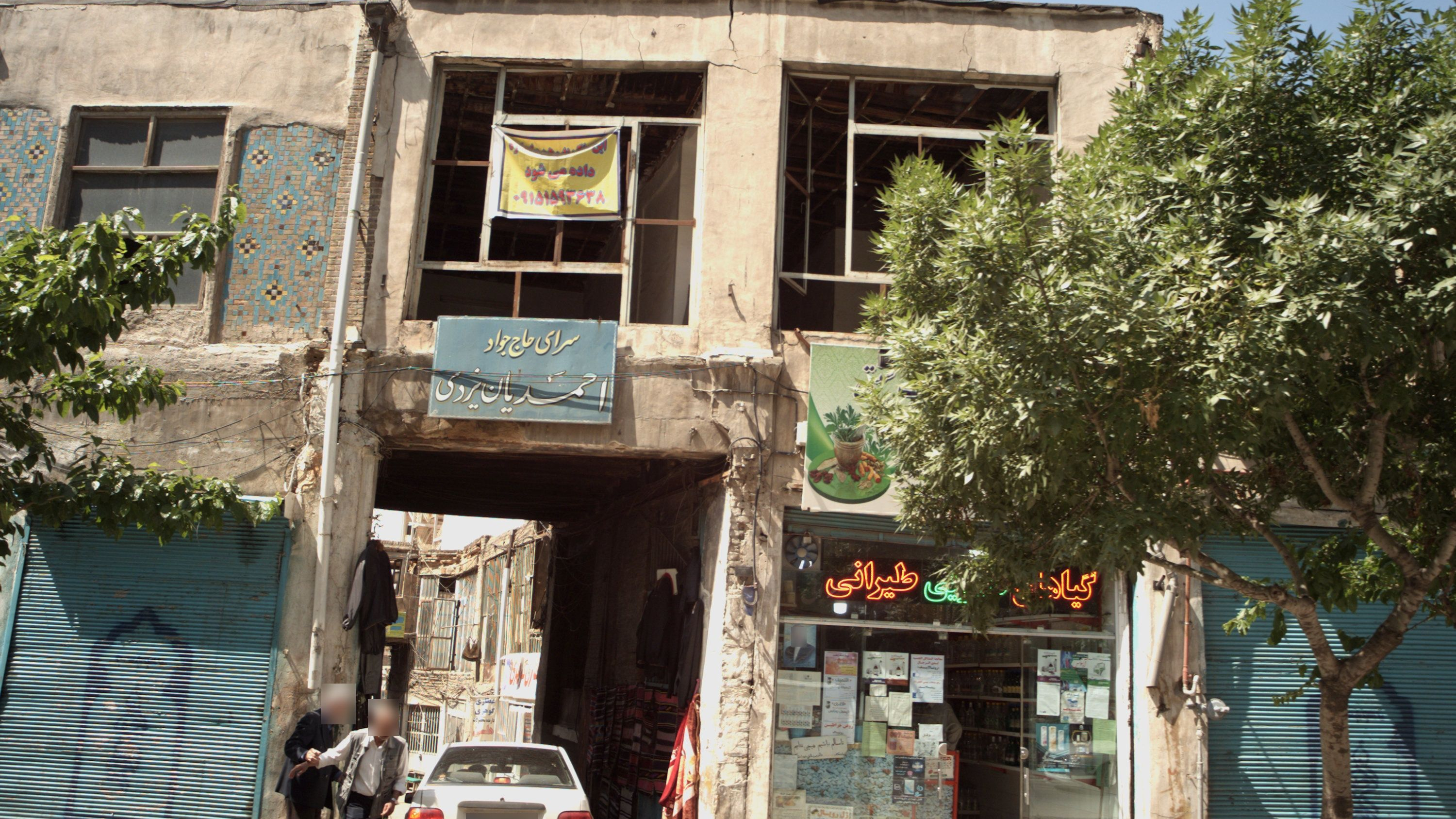 گیاهان دارویی طیرانی