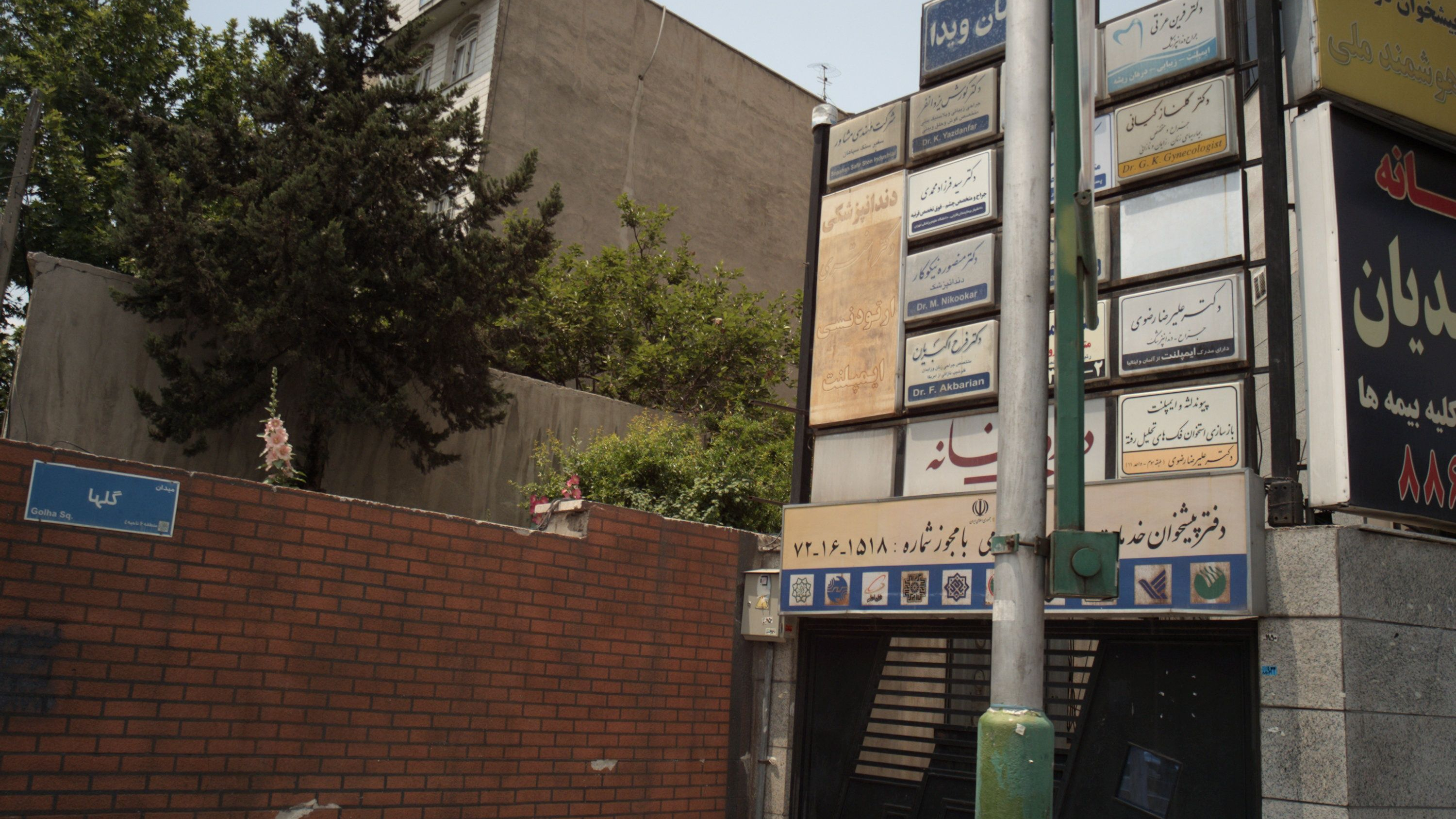 دکتر فرین عزتی
