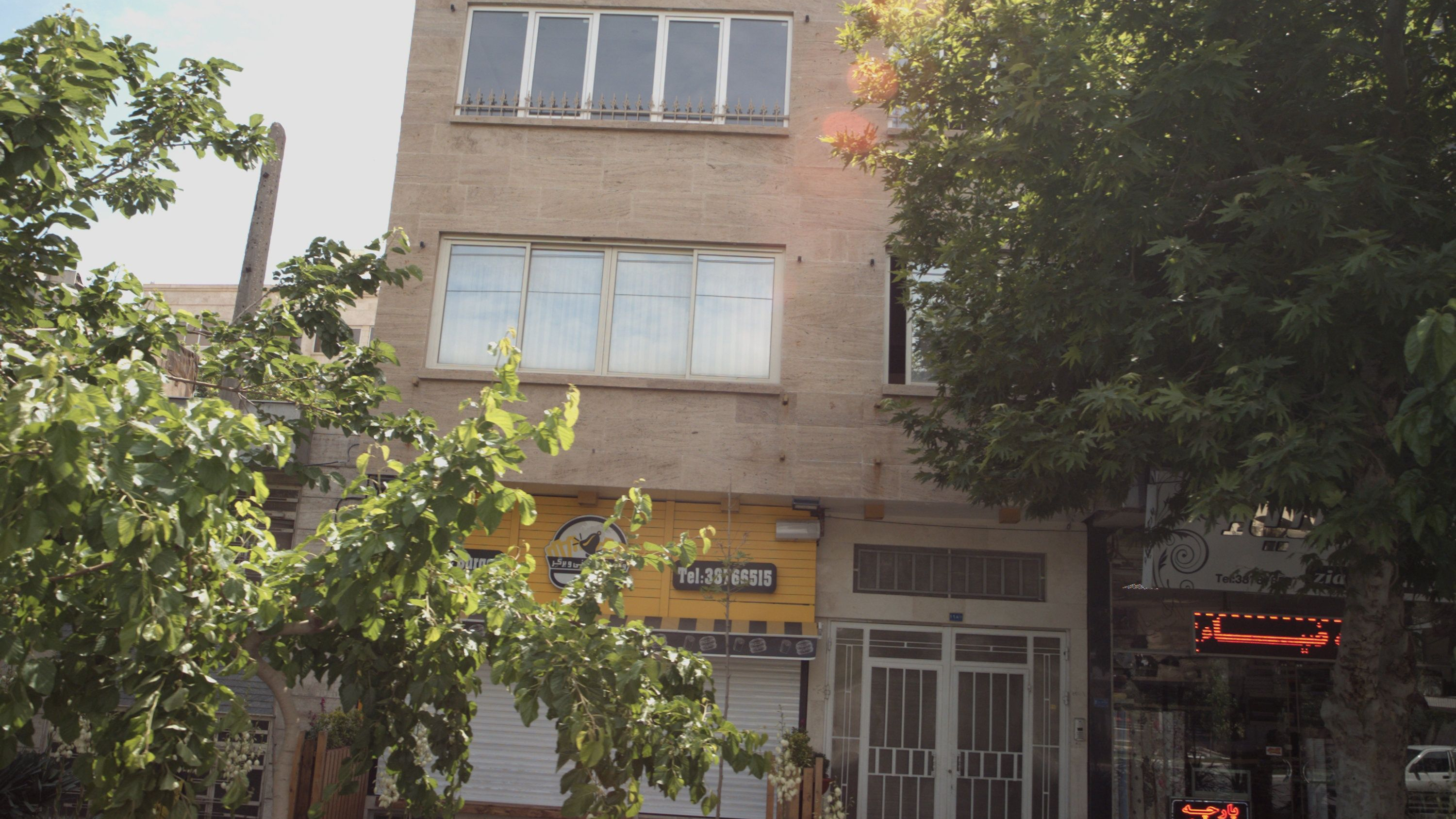 فست فود وقت سیب زمینی و برگر