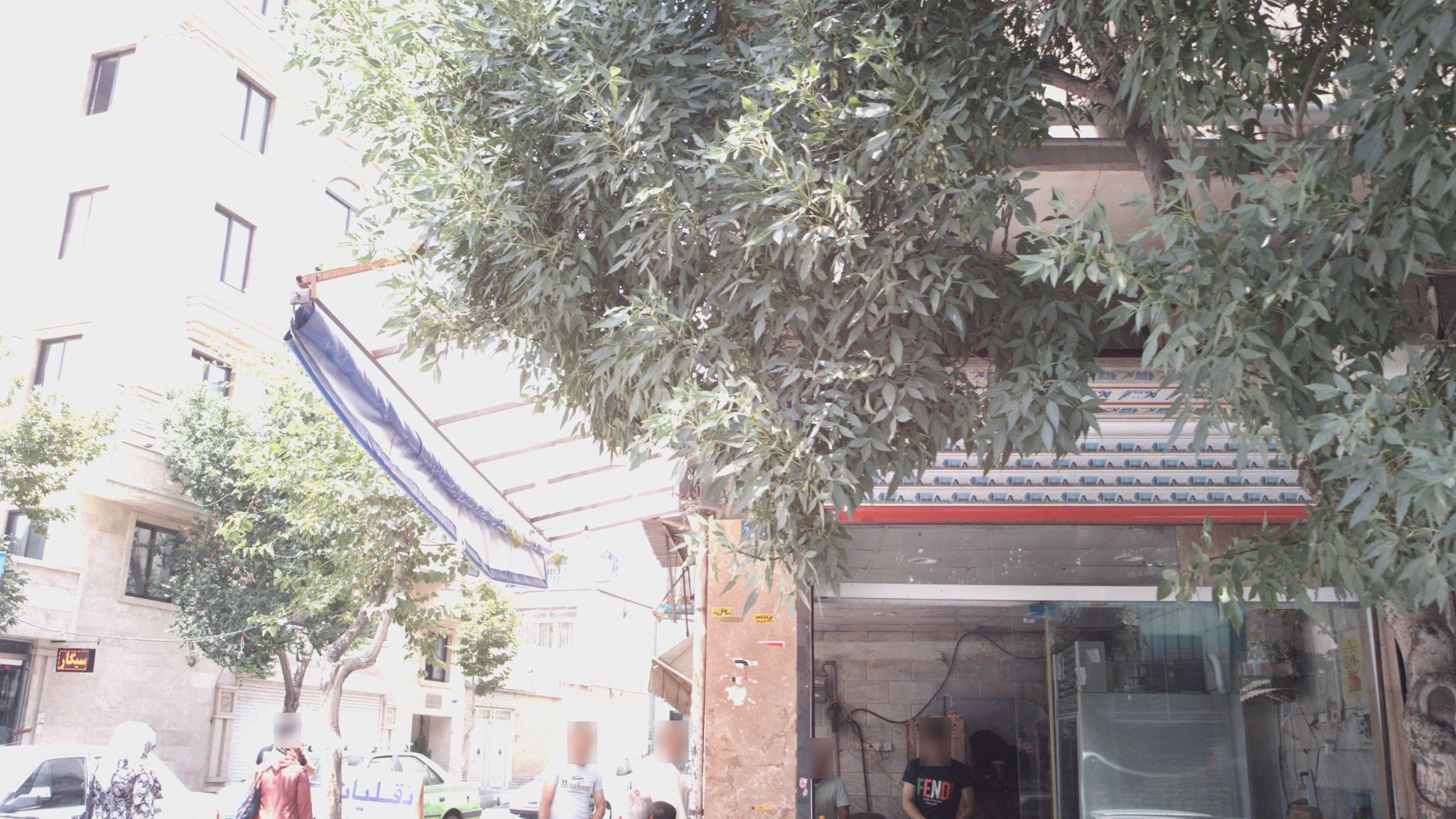 ماهی فروشی