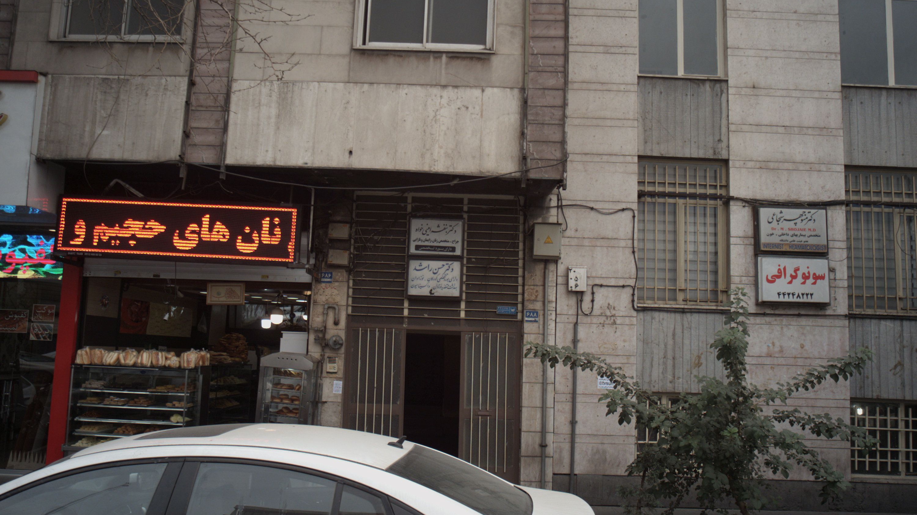 دکتر بنفشه امینی خواه