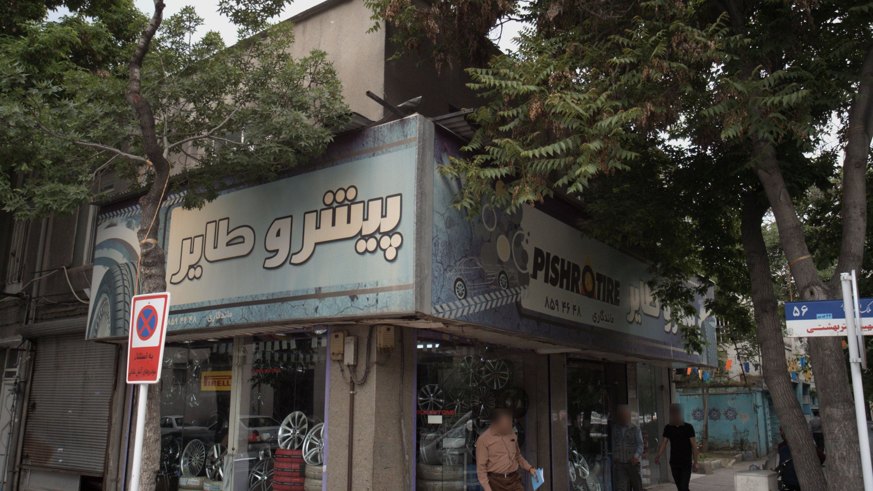 پیشرو طایر