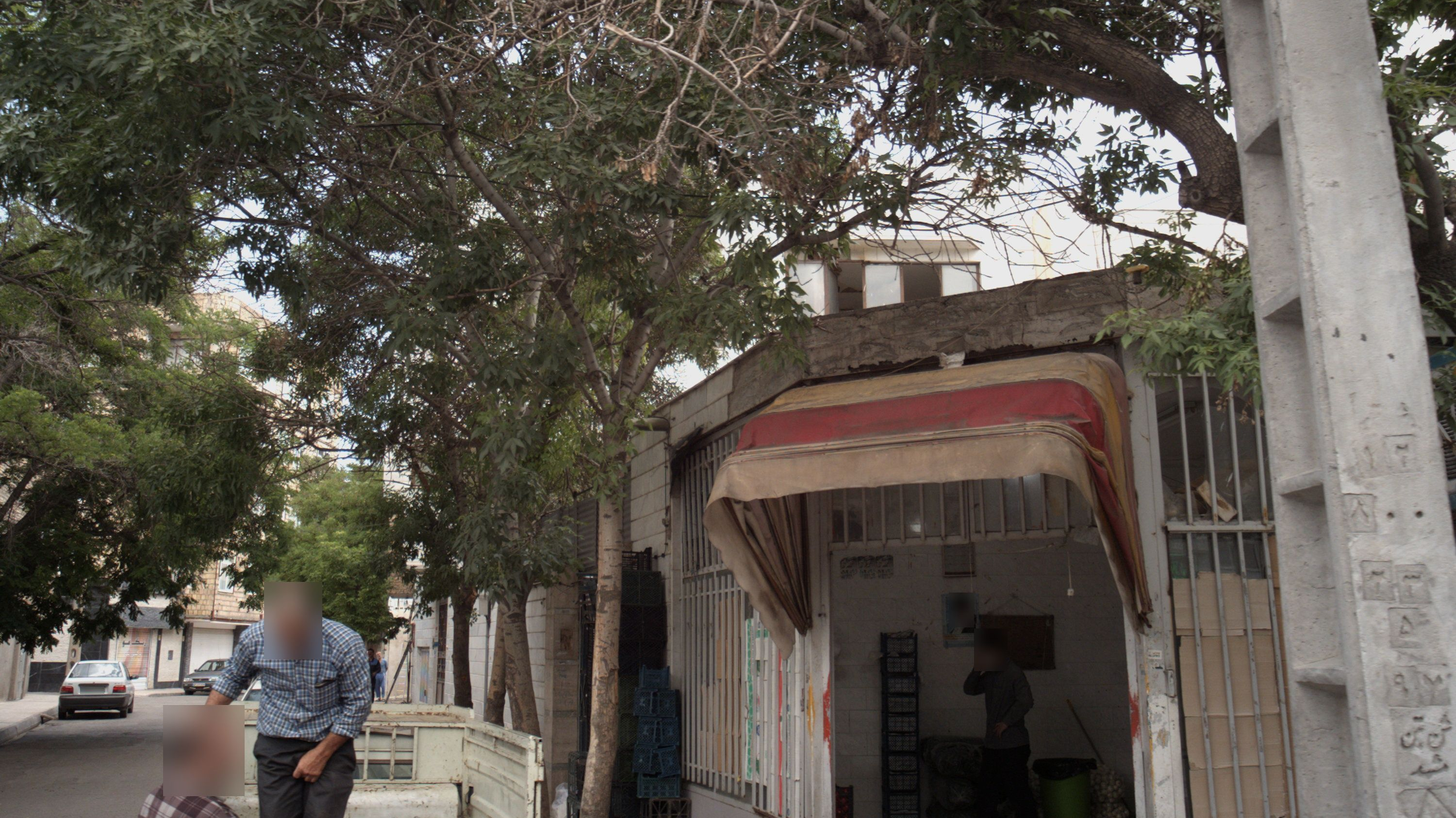 میوه فروشی
