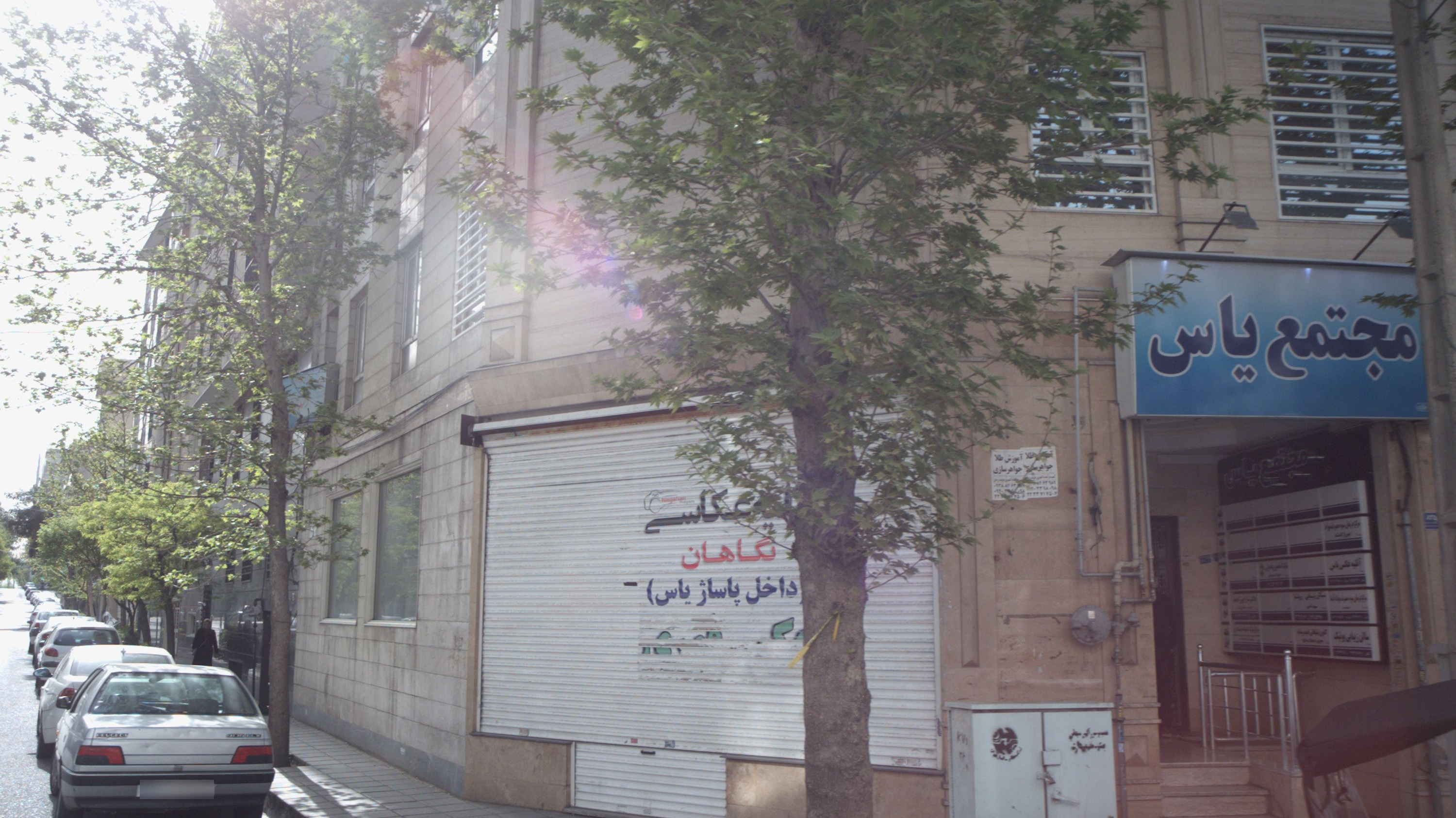 دکتر سارا پوراحمد