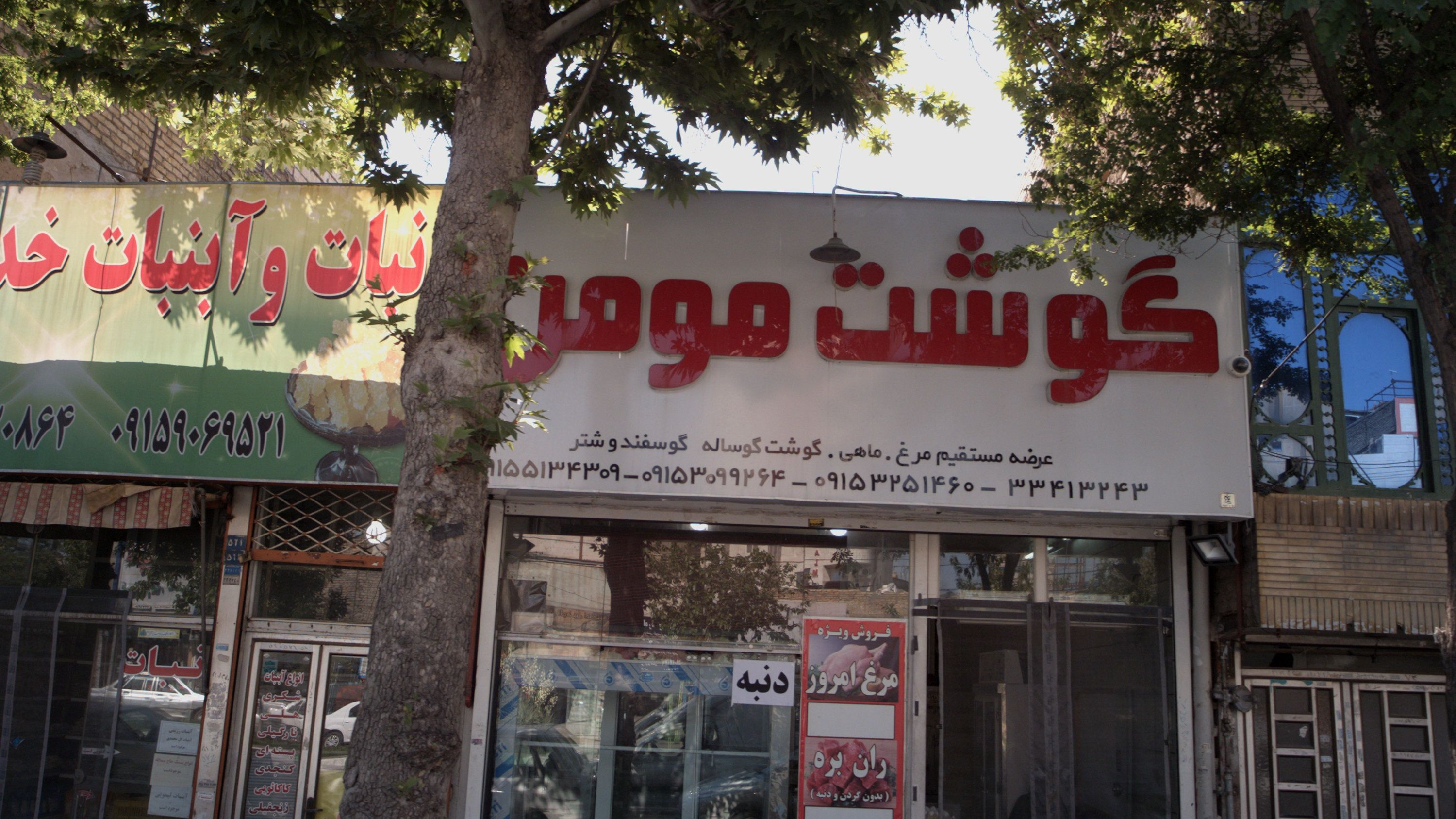گوشت مومن