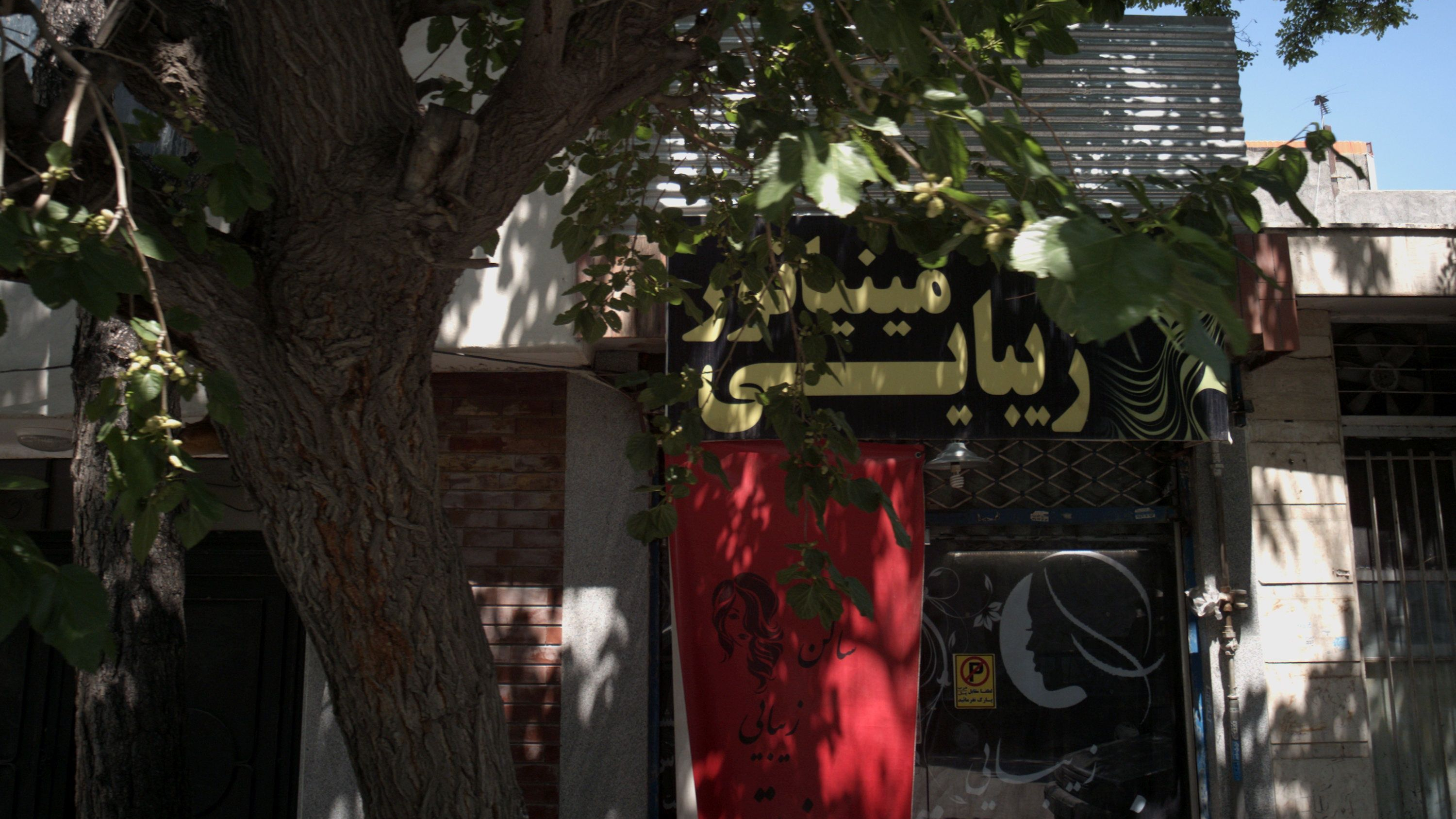 زیبایی مینیاتور