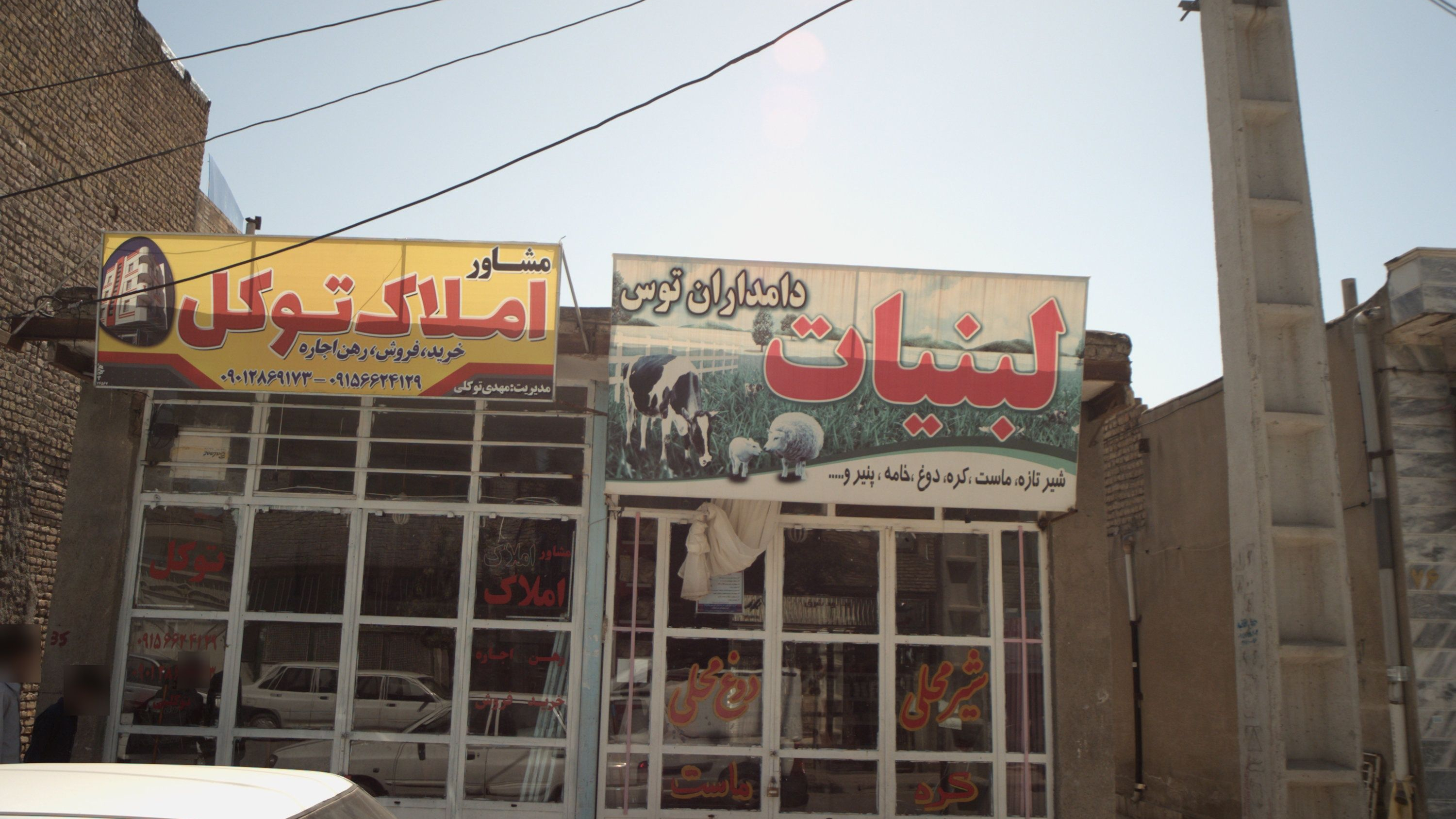 لبنیات دامداران توس