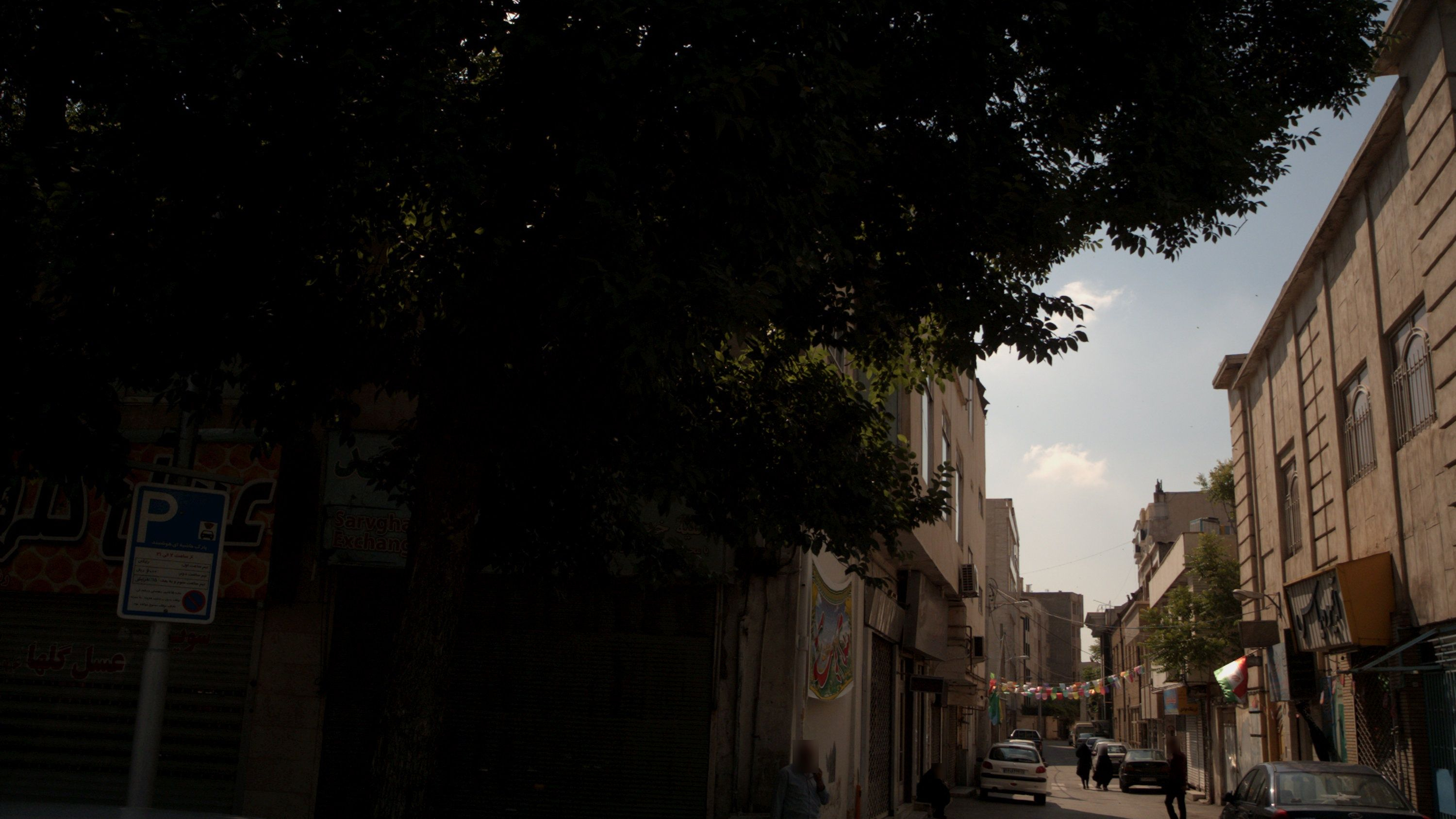 صرافی سروقد