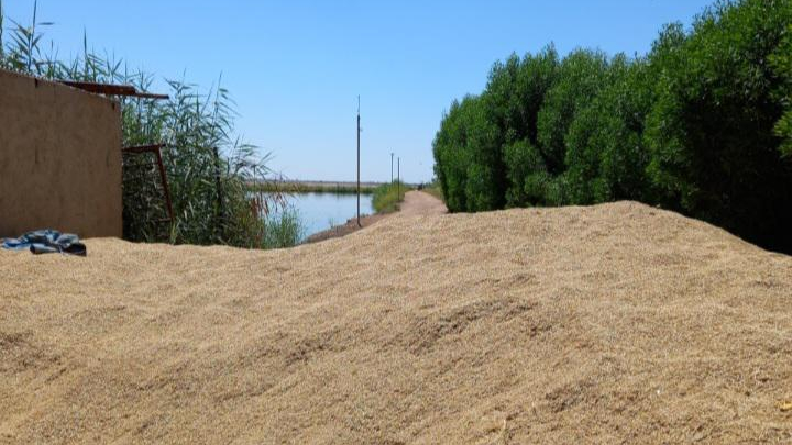 حوضچه پرورش ماهی جهانگیری