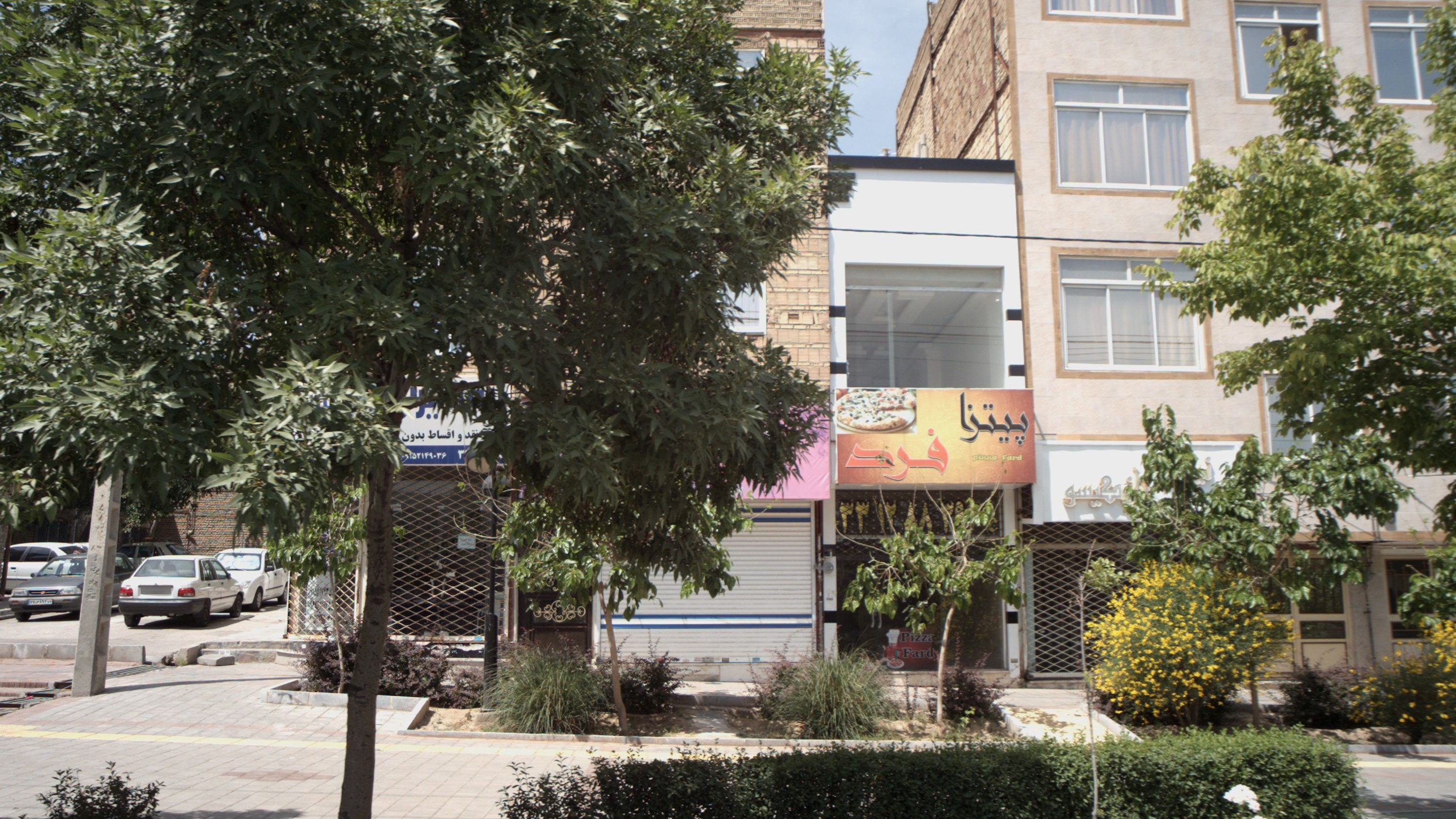 زیبایی ناز گیسو