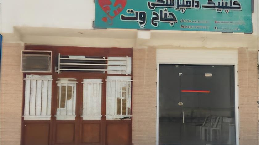 کلینیک دامپزشکی جناح وت