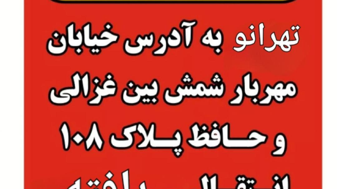 پیتزا پارمیس برادران افقی