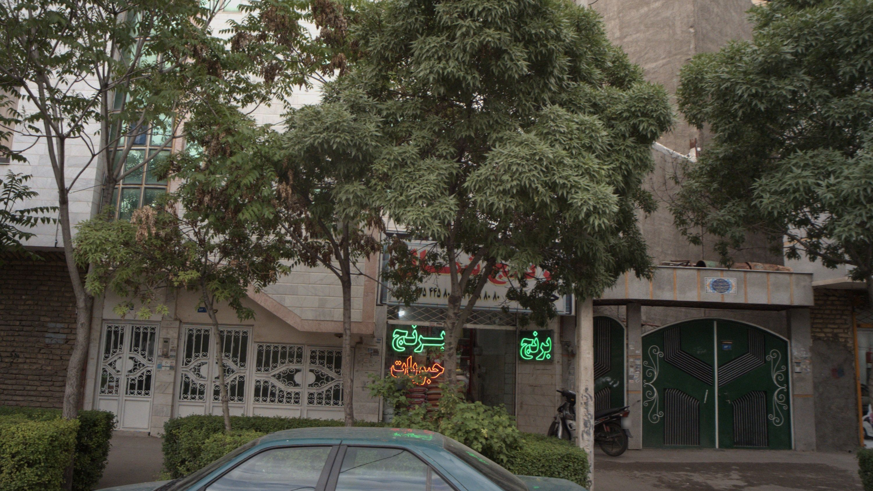 برنج شمال