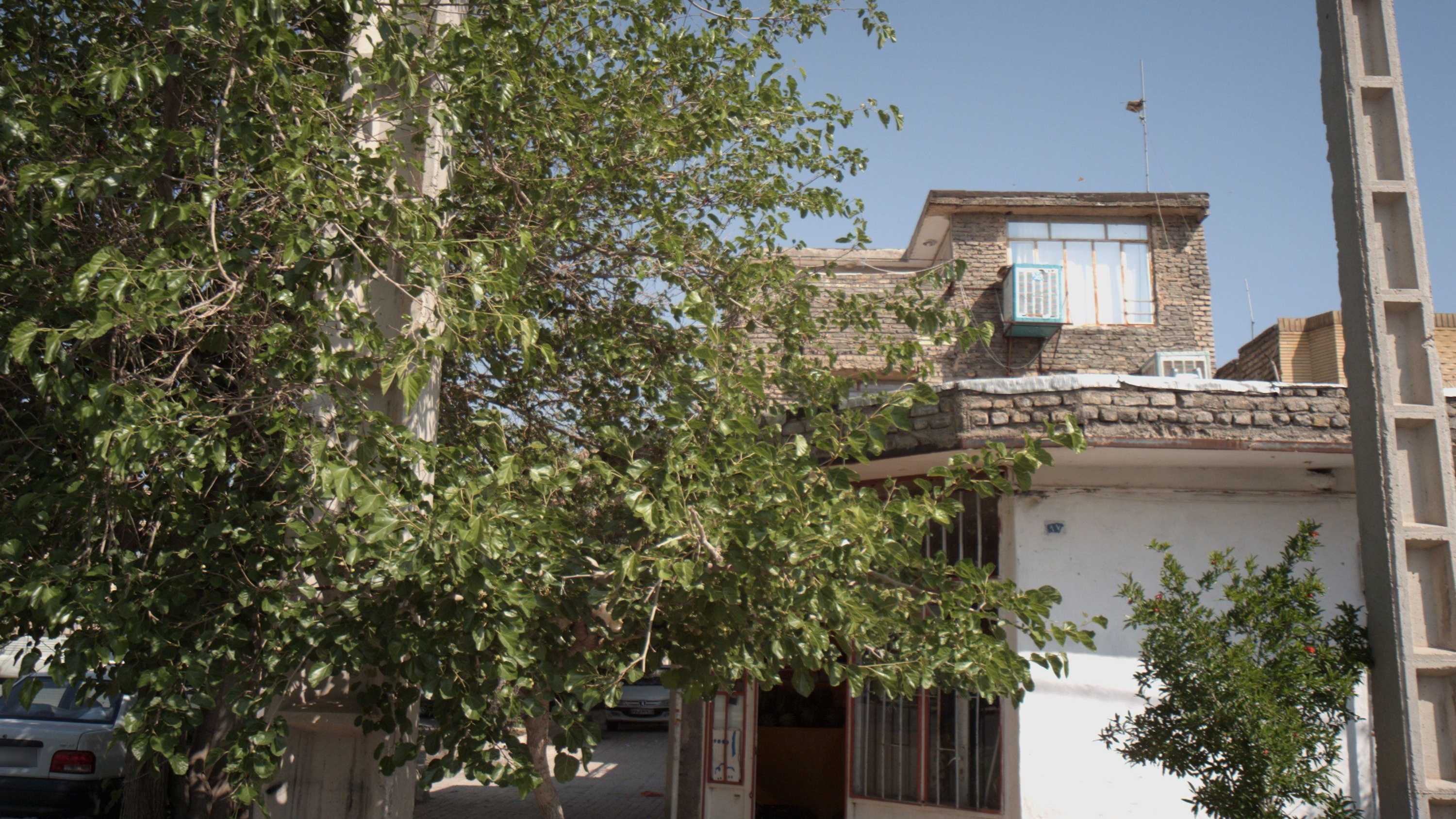 میوه فروشی