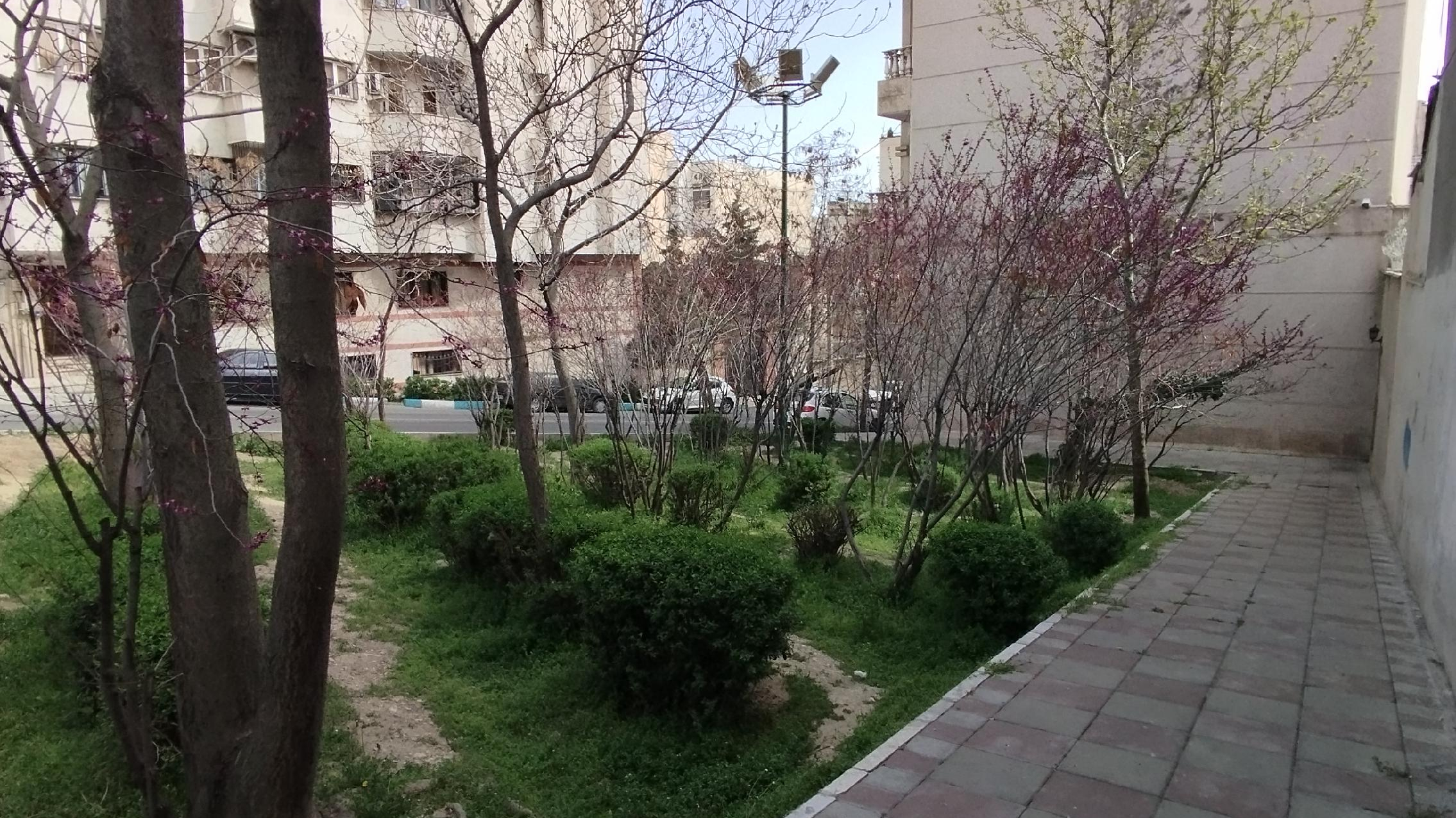 بوستان شهید حمیدرضا نظام