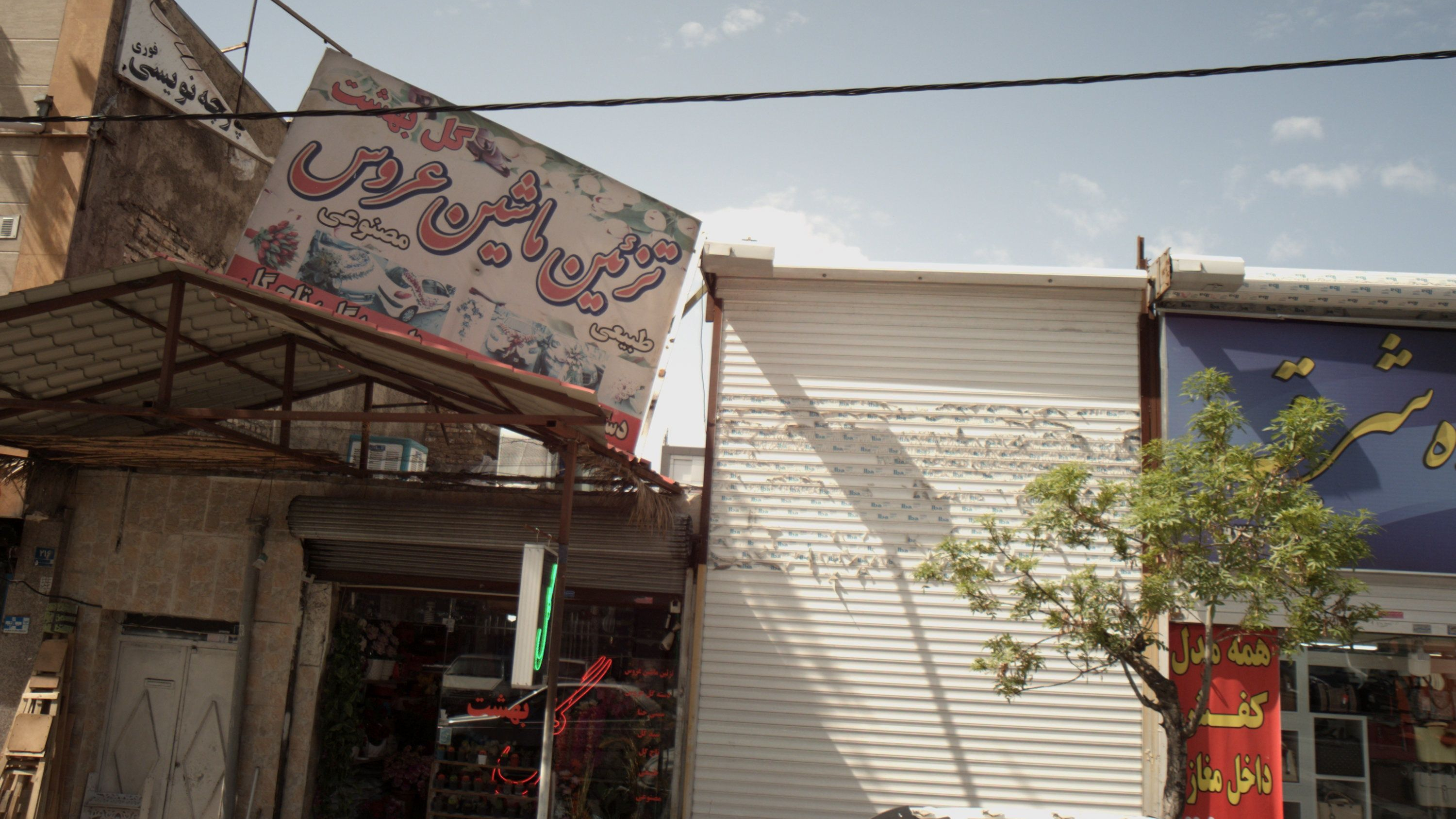 گل بهشت