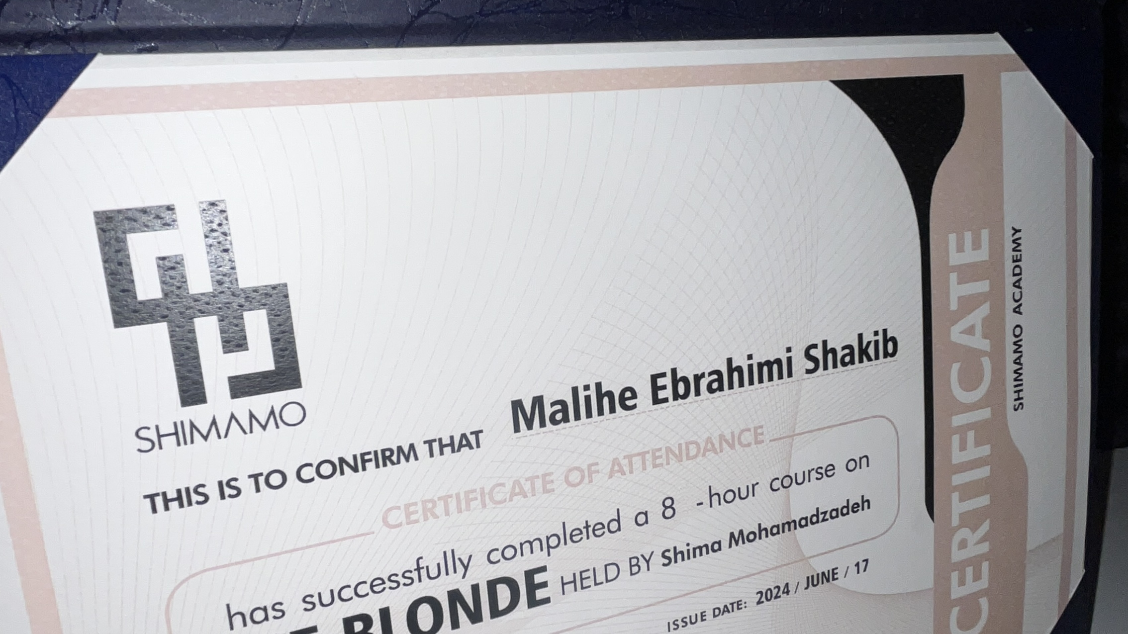 خدمات تخصصی رنگ و مش امبره سامبره شکیب