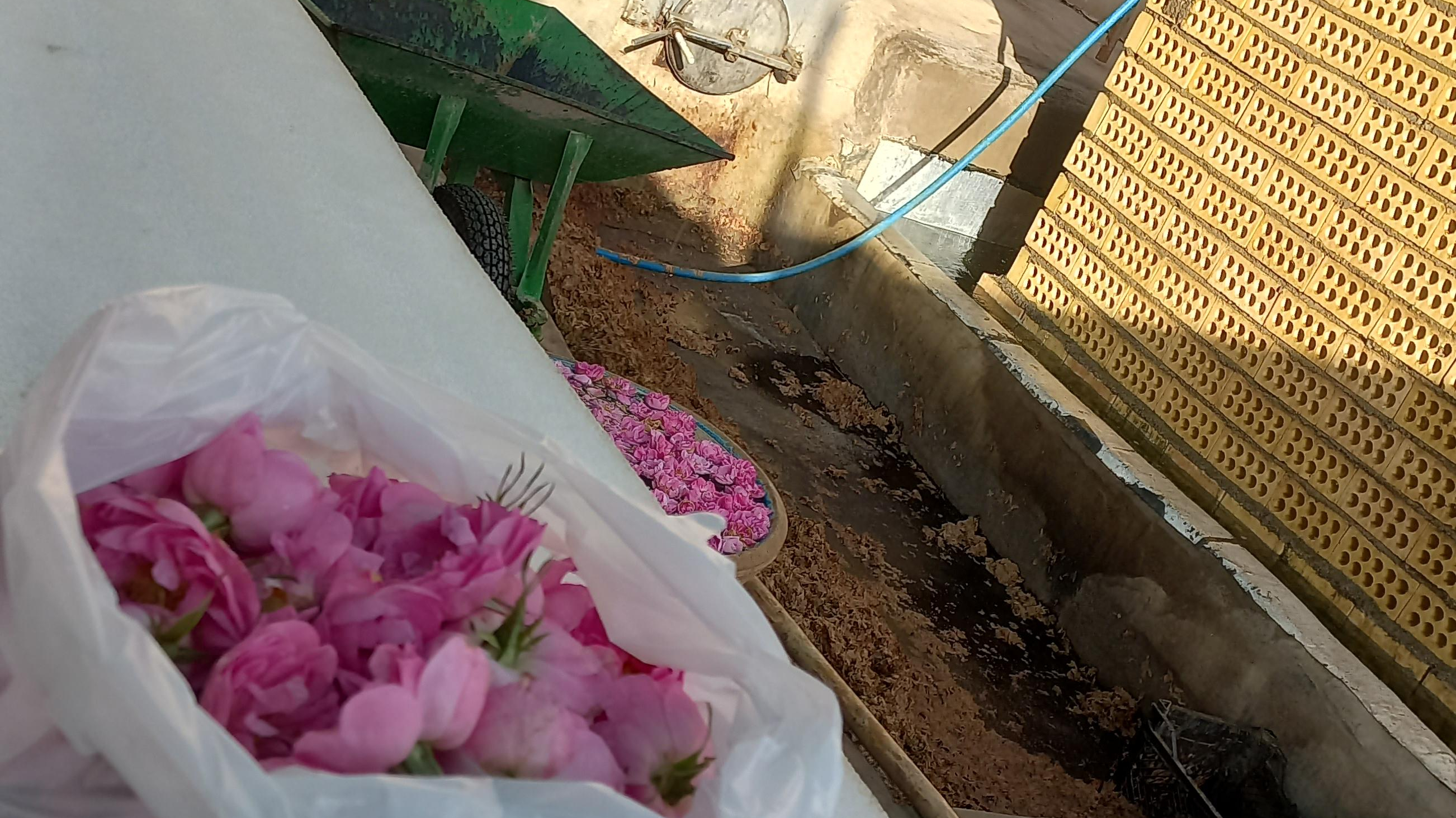 کارگاه گلاب‌گیری و عرقیجات سنتی برادران رجب‌پور