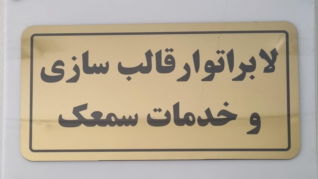 تعمیرات وخدمات سمعک شهرکرد