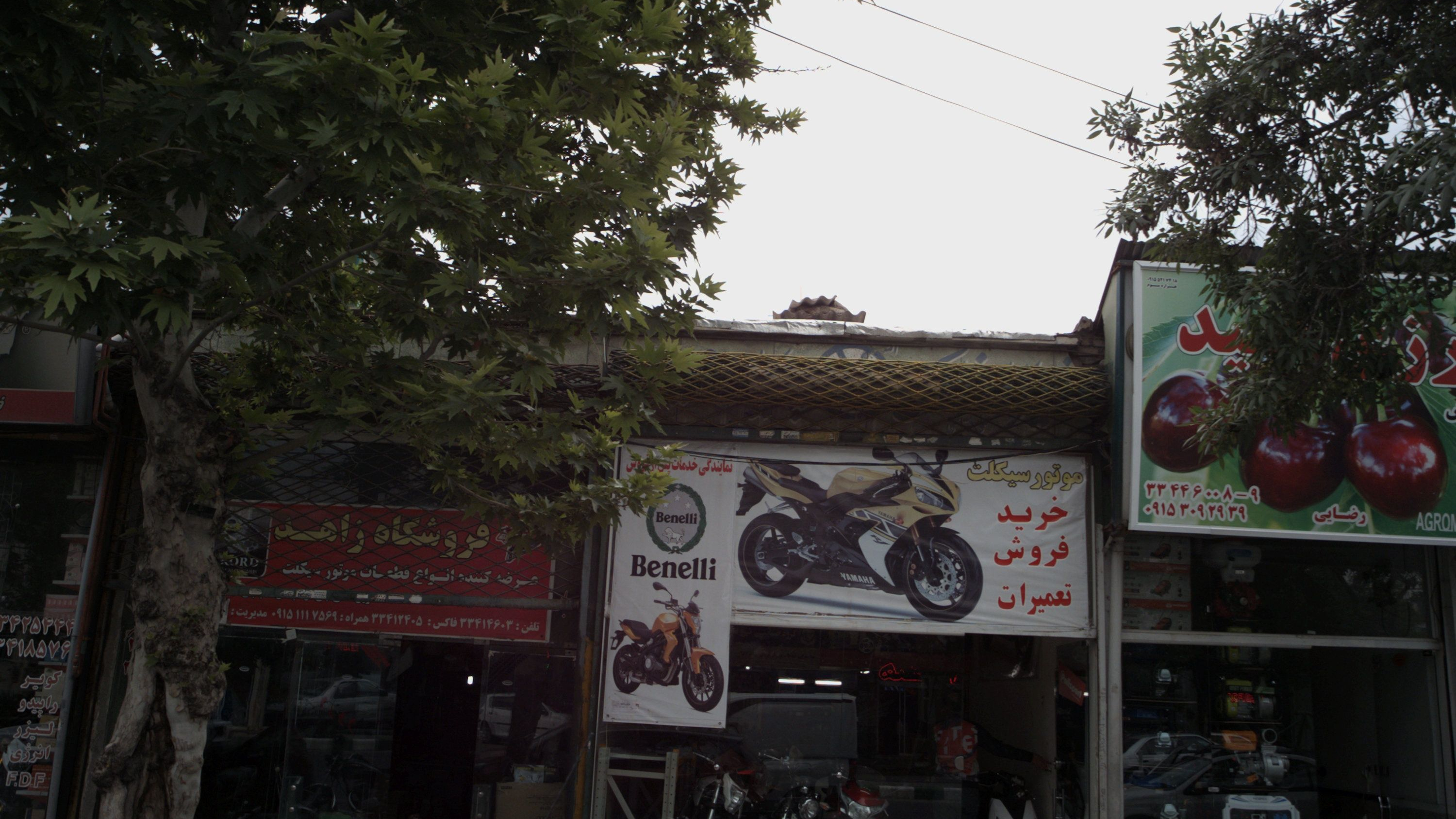 فروشگاه زاهد