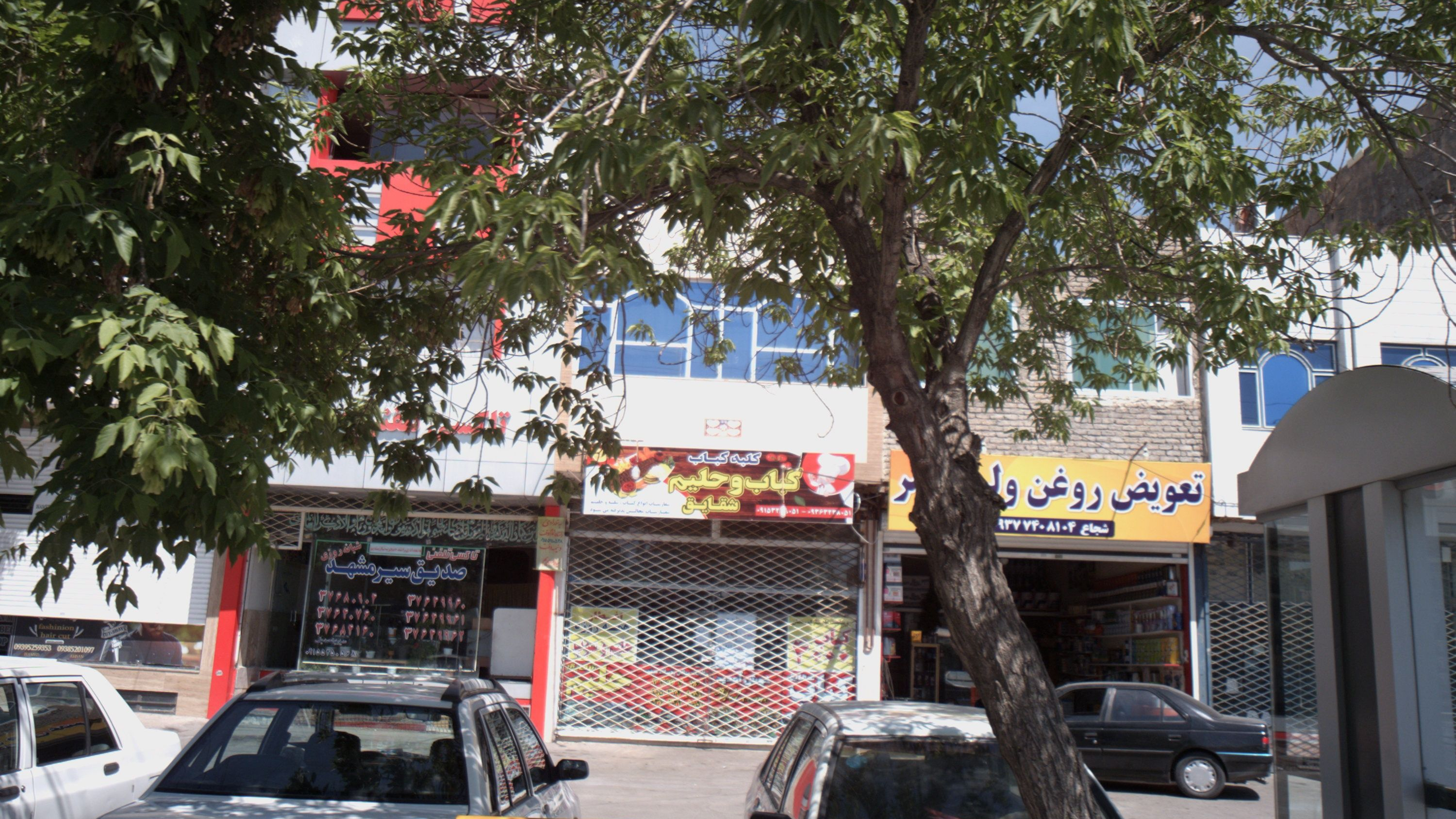تعویض روغنی ولیعصر