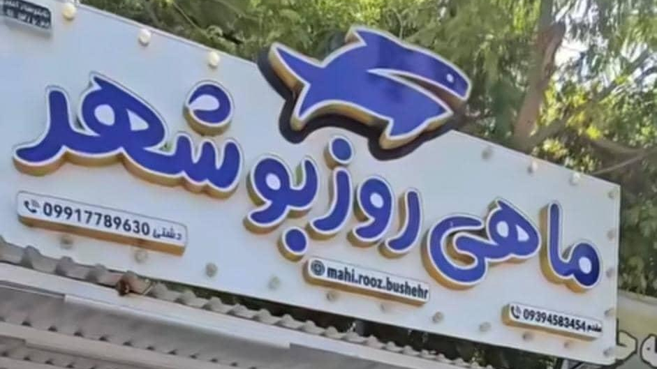 ماهی روز بوشهر