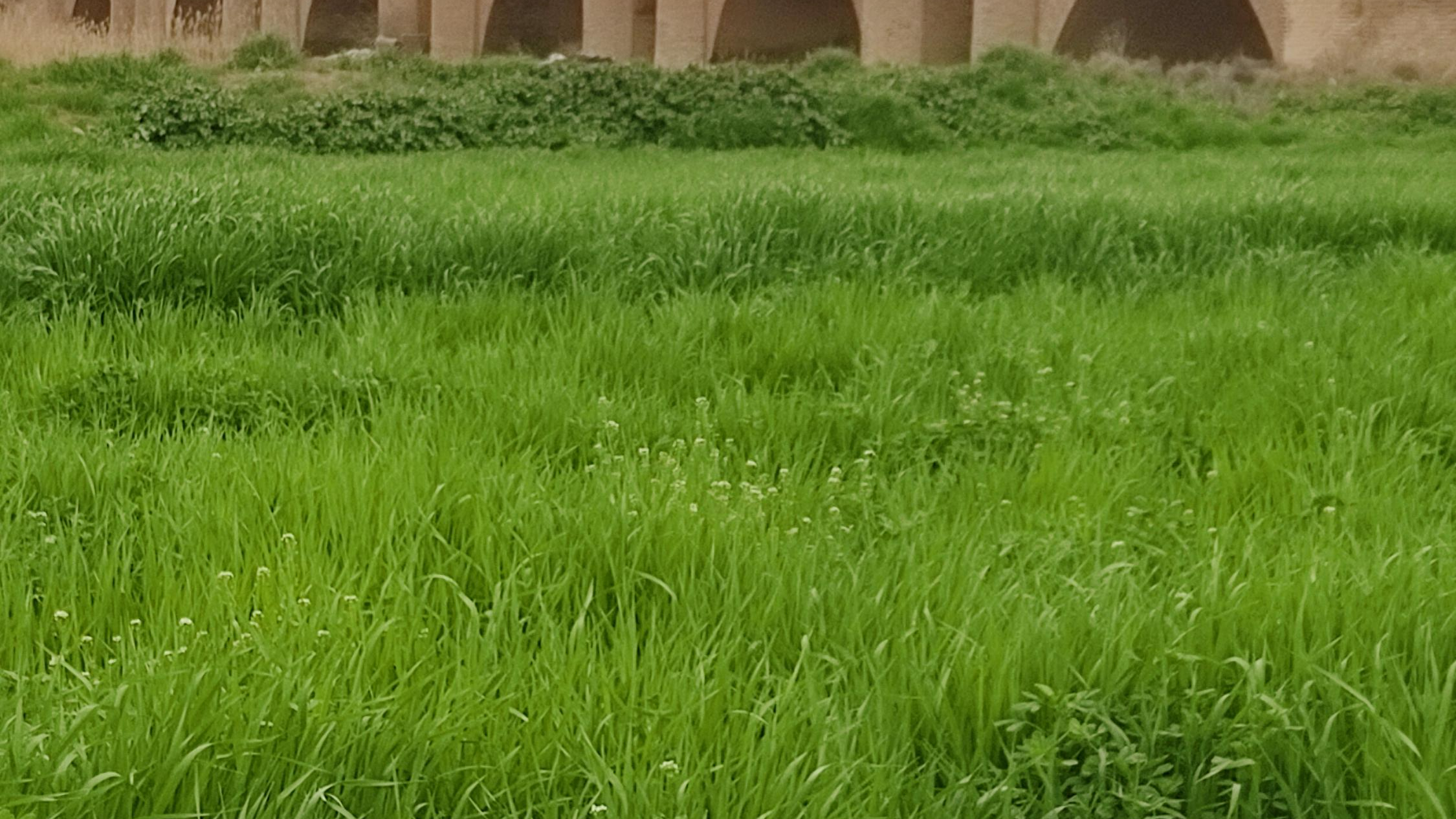 پل کهنه کرمانشاه