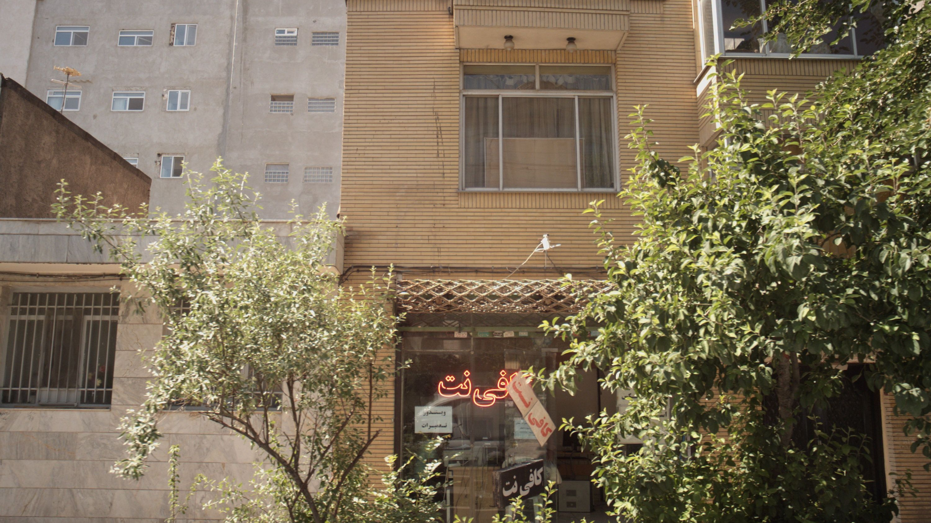 کافی نت