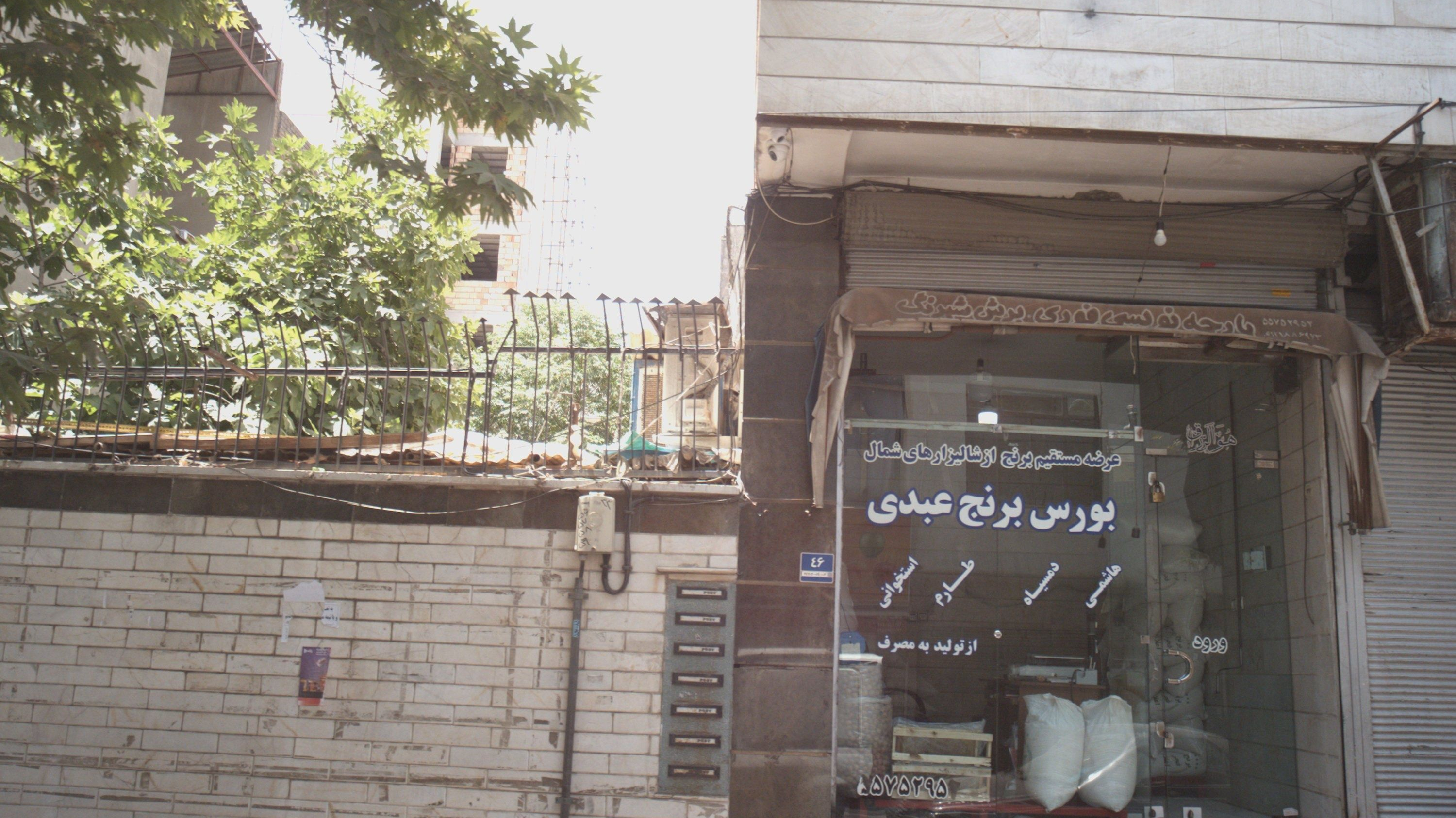 بورس برنج عبدی
