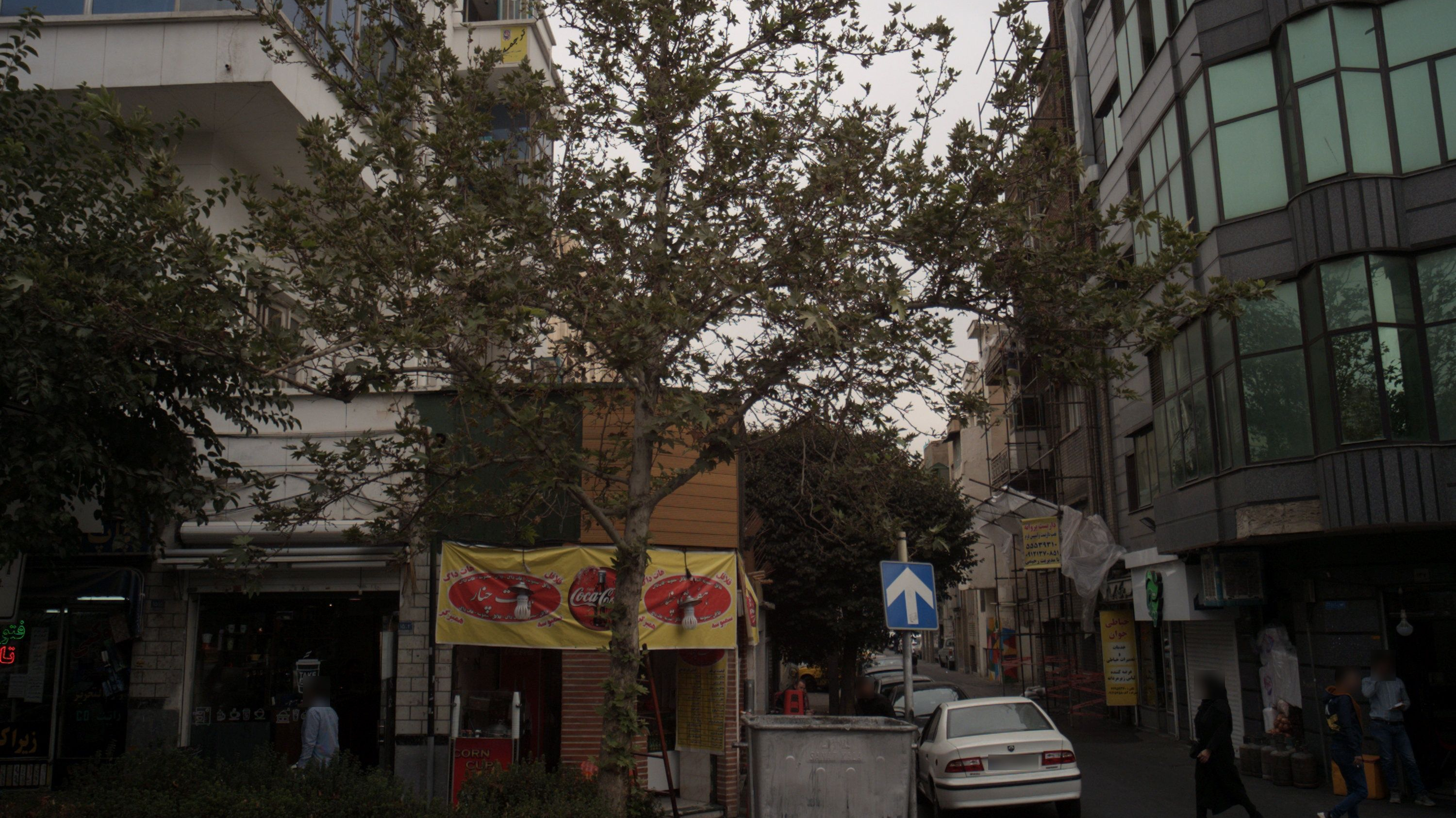 ساندویچی هفت چنار