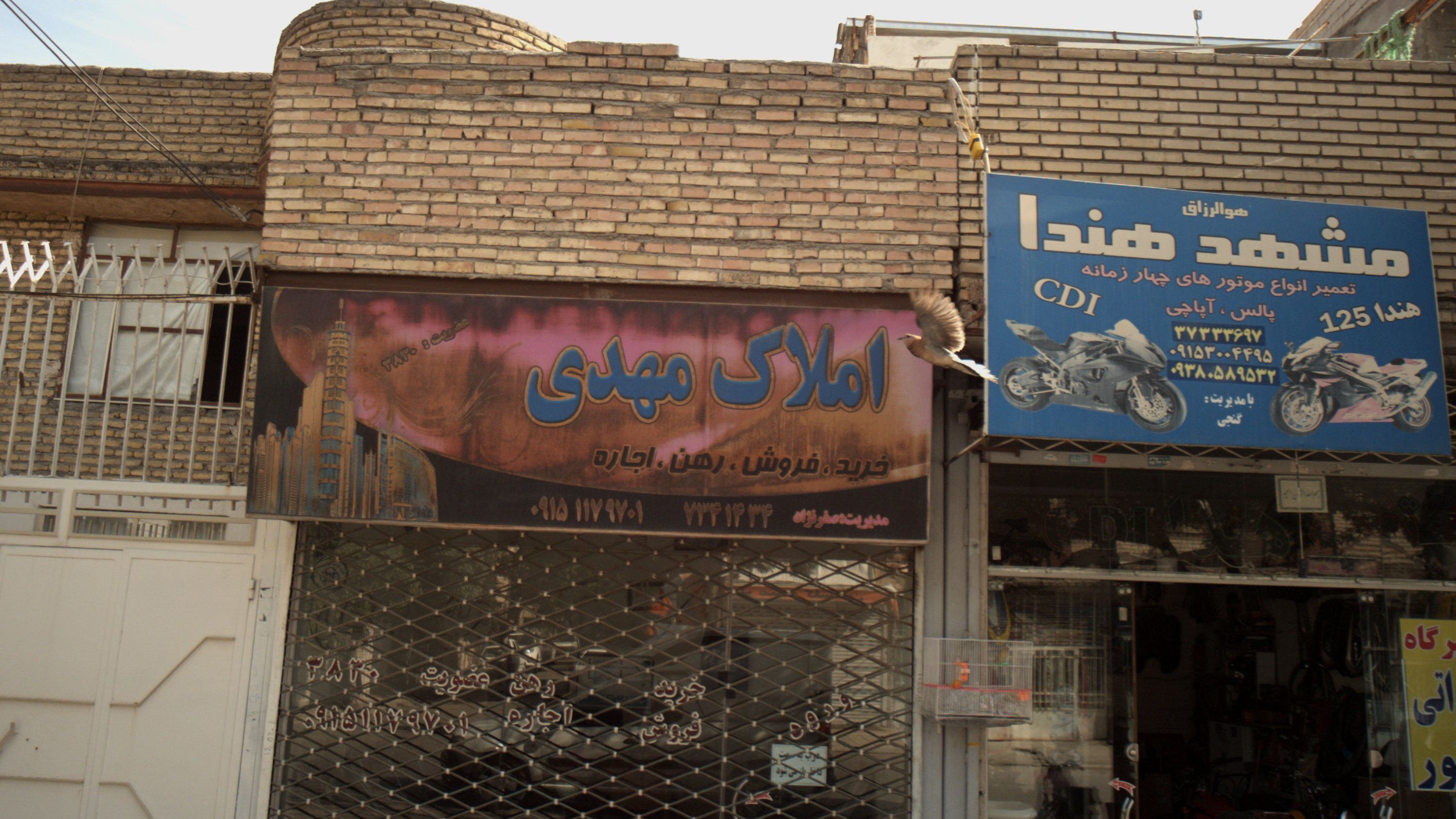 املاک مهدی