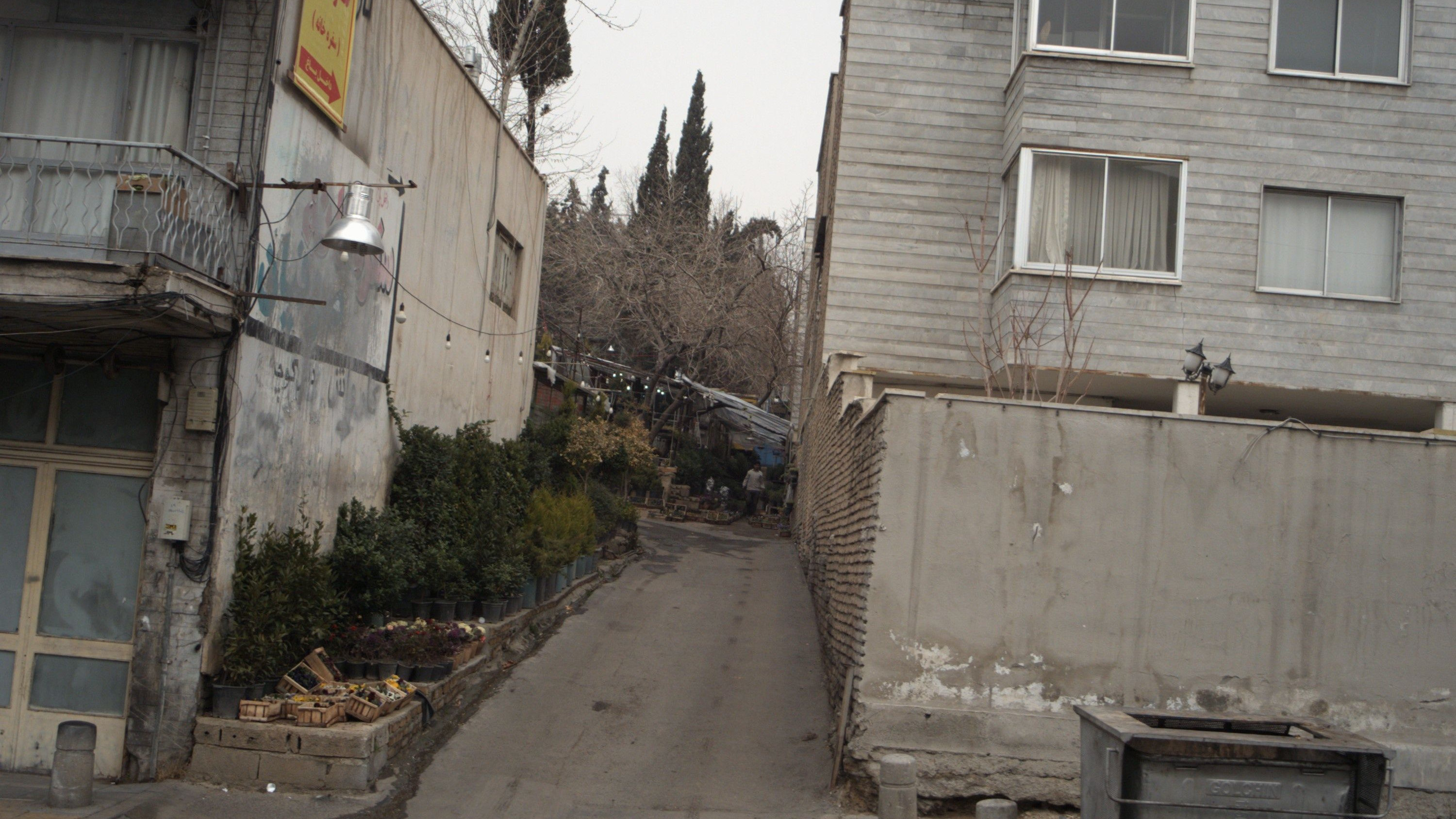 کافه رستوران صوفیان