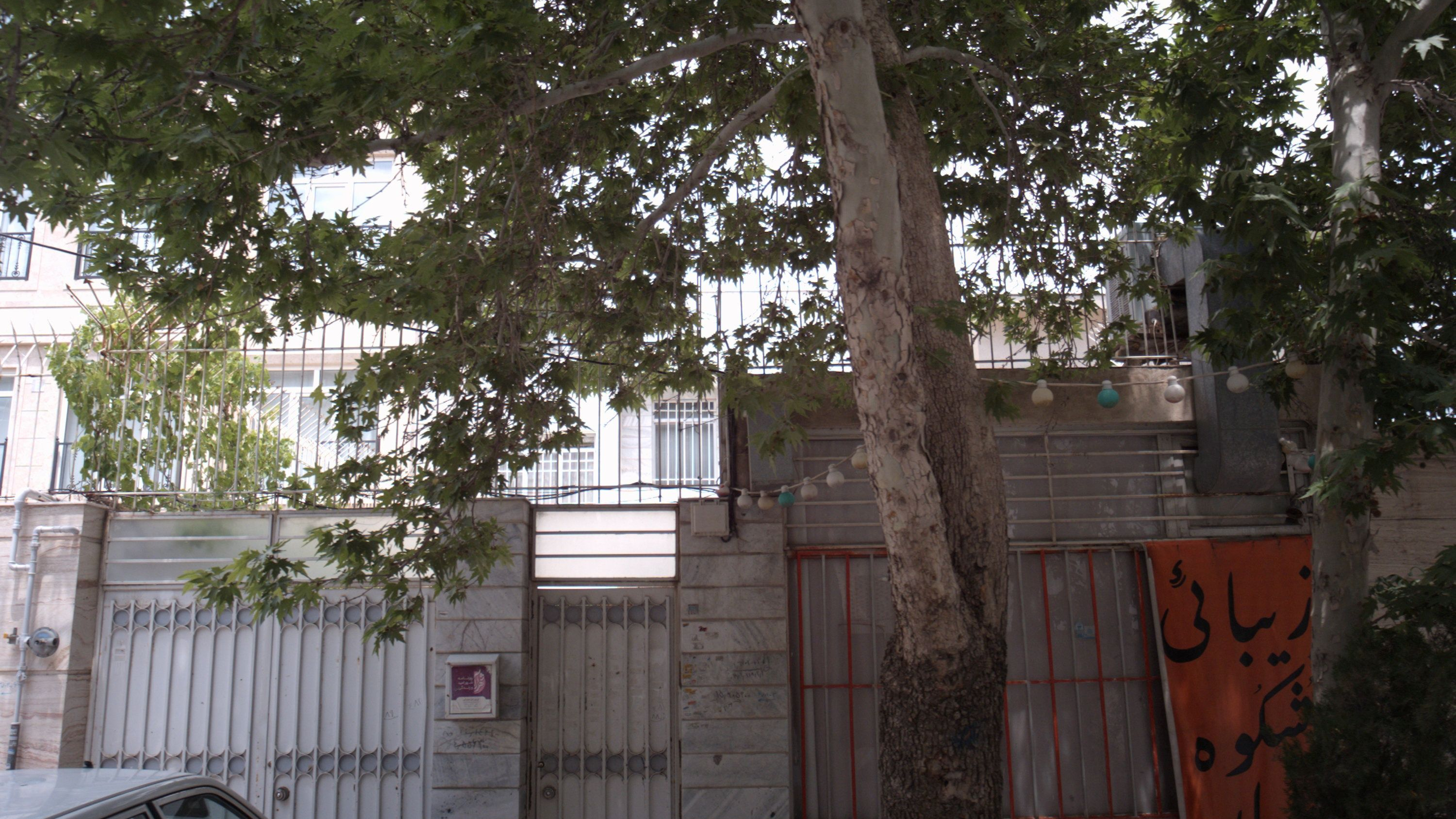 زیبائی شکوه بهار