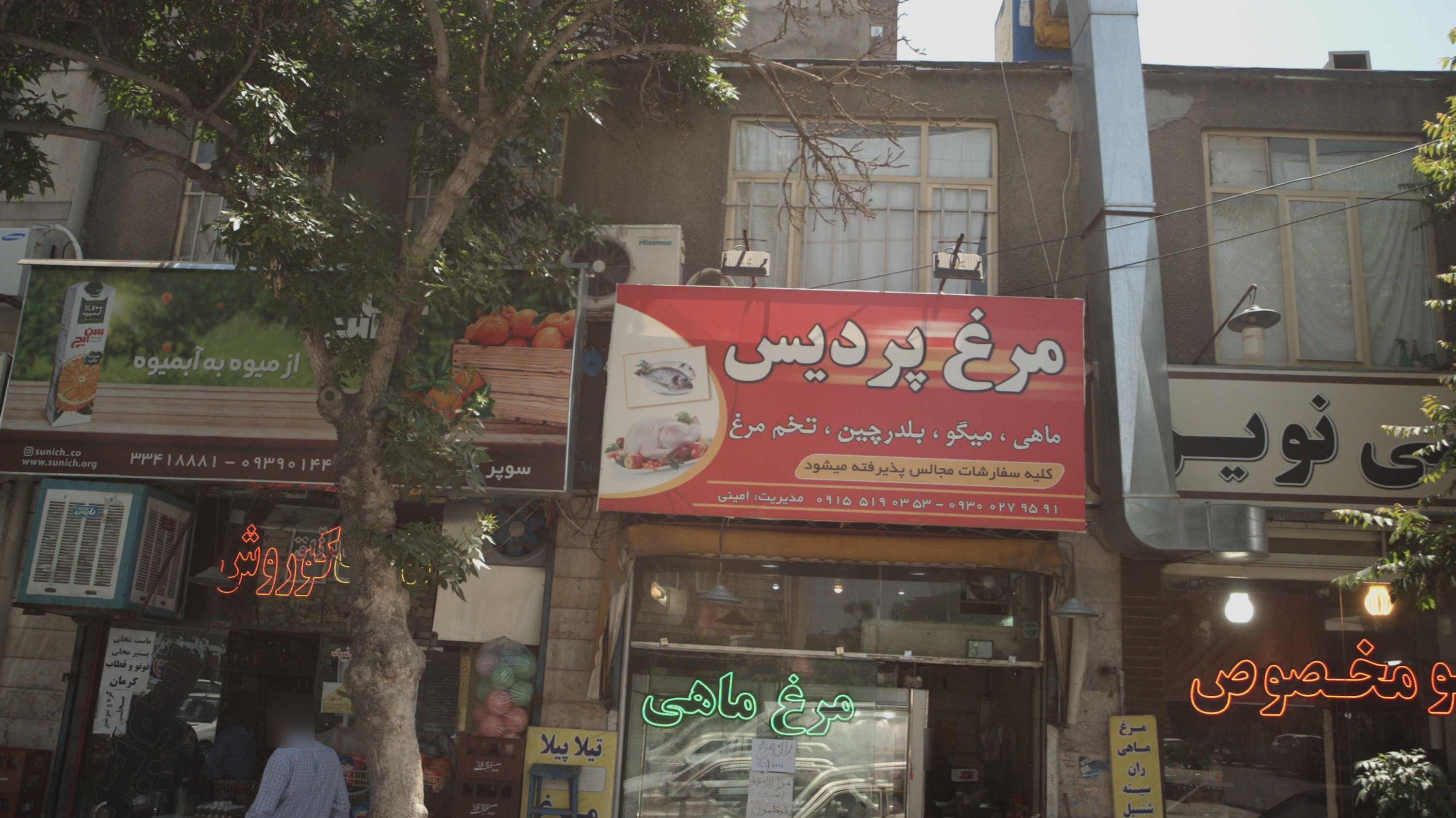 مرغ پردیس