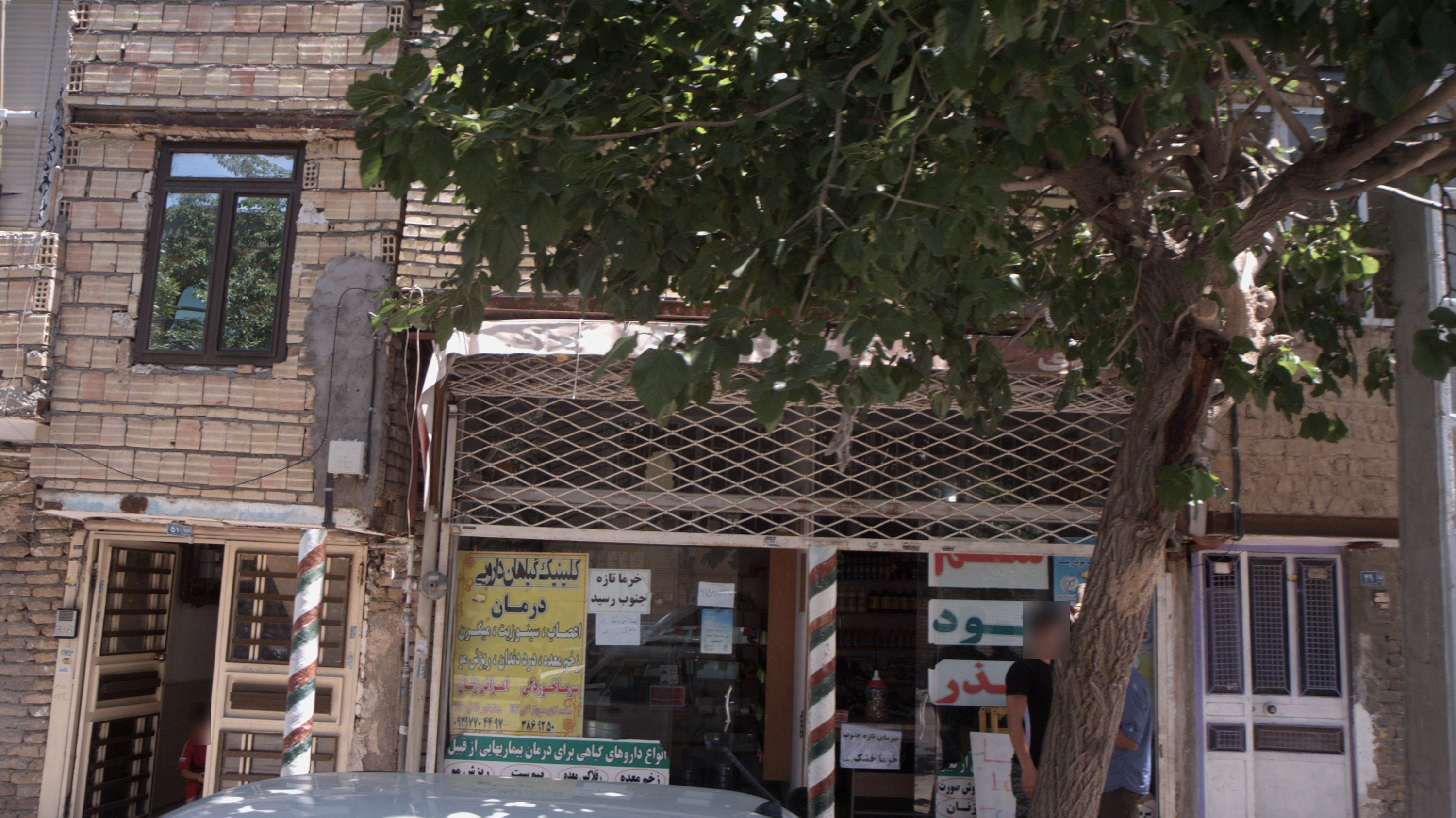 کلینیک گیاهان دارویی درمان