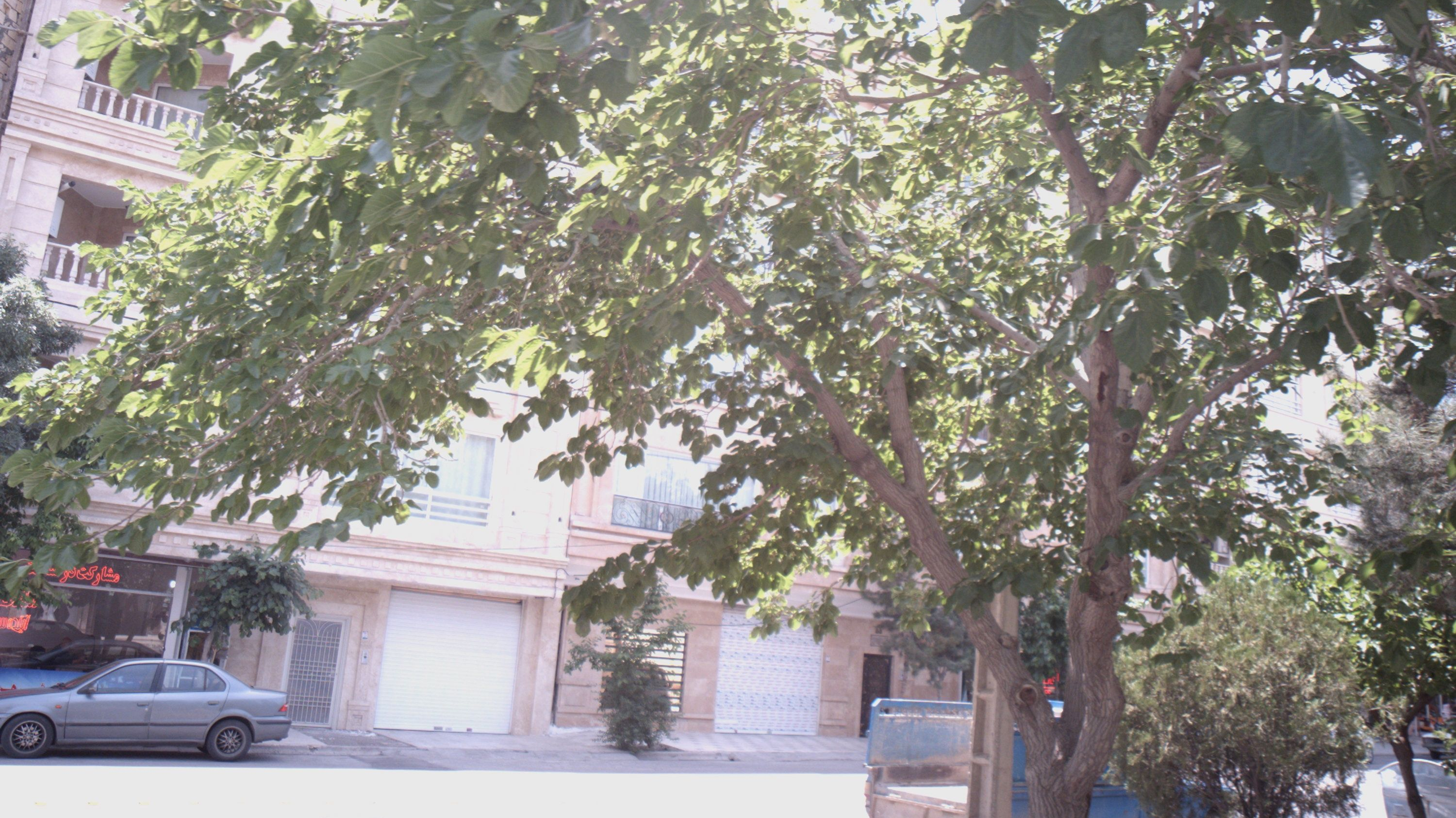 مشاور املاک